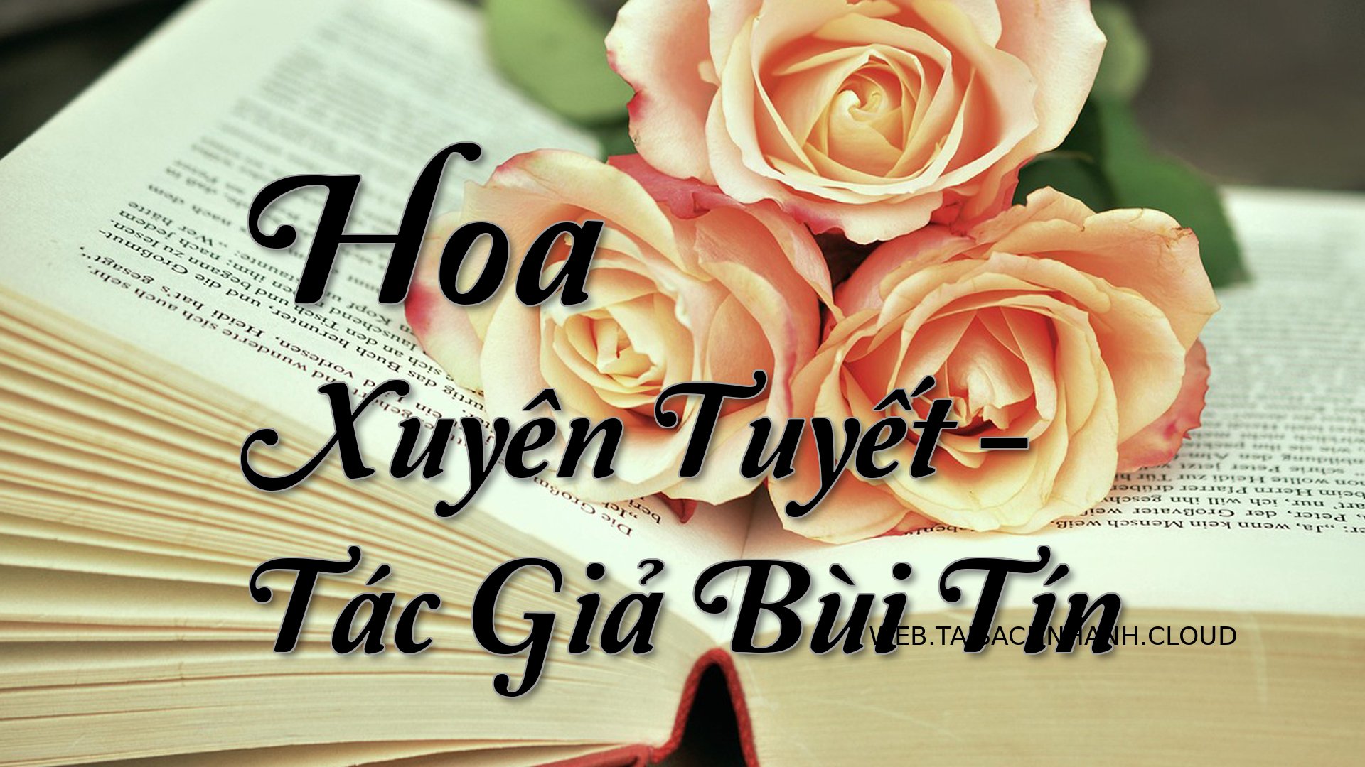 Cover Hoa Xuyen Tuyet.jpg