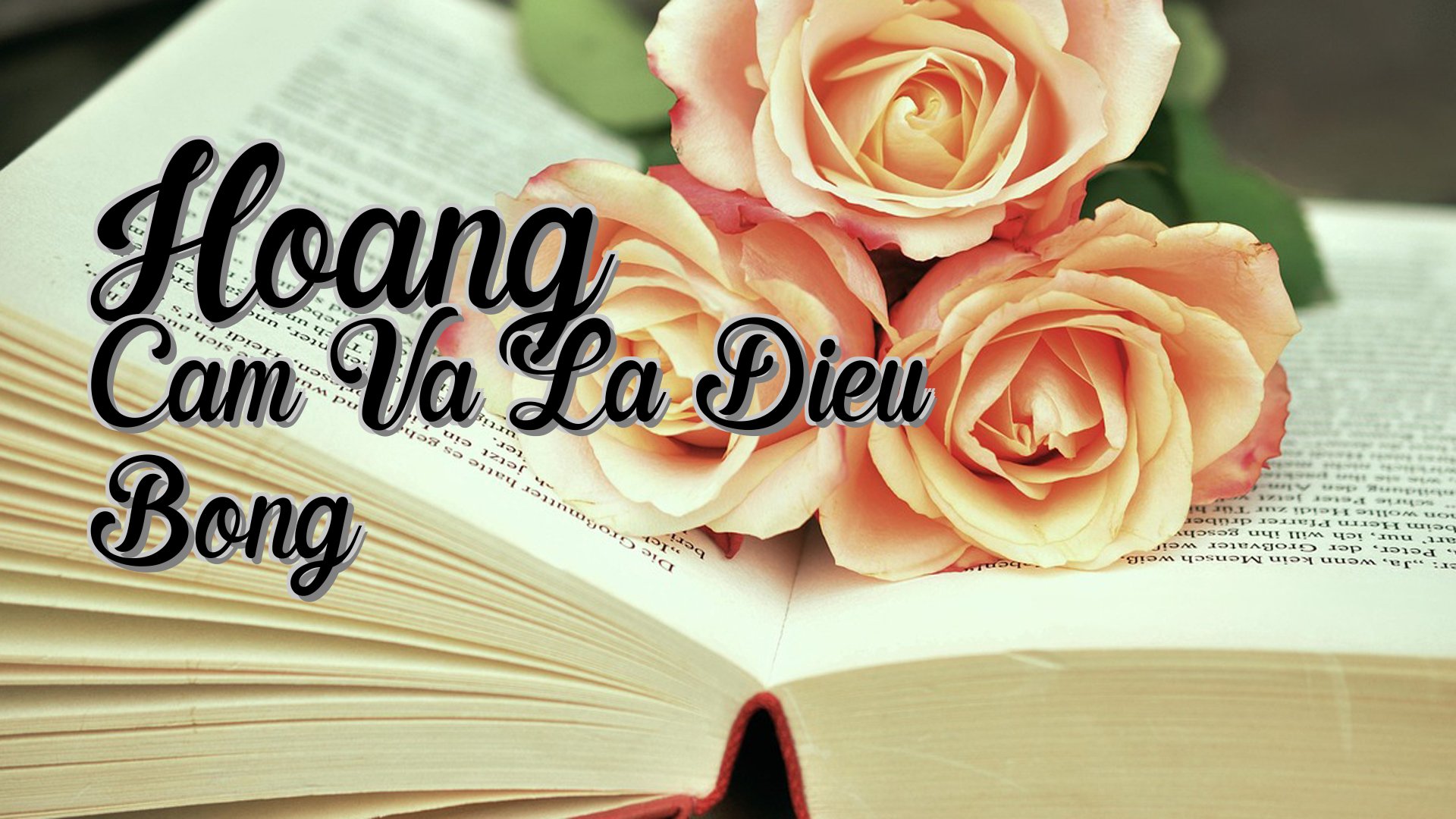 cover-Hoang Cam Va La Dieu Bong