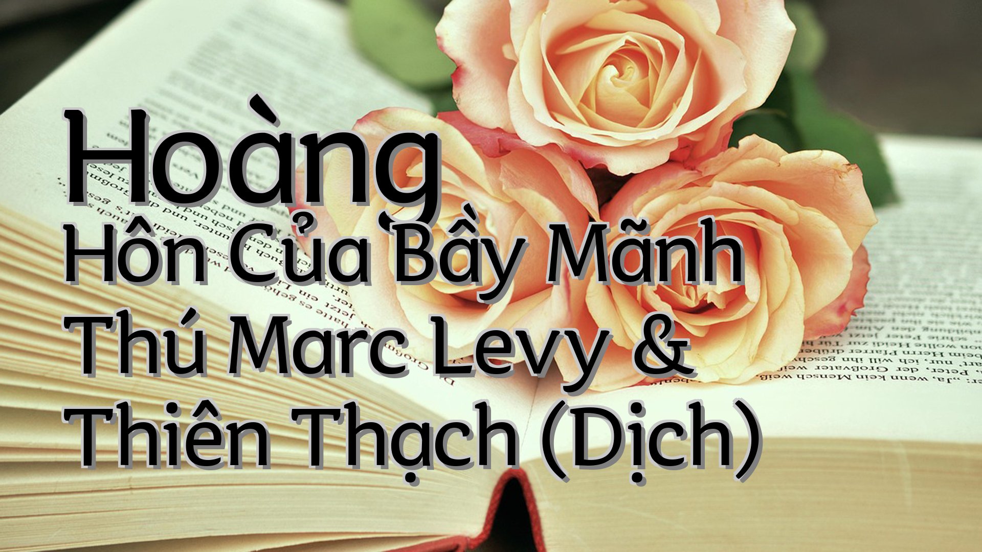 cover-Hoàng Hôn Của Bầy Mãnh Thú Marc Levy & Thiên Thạch (Dịch)
