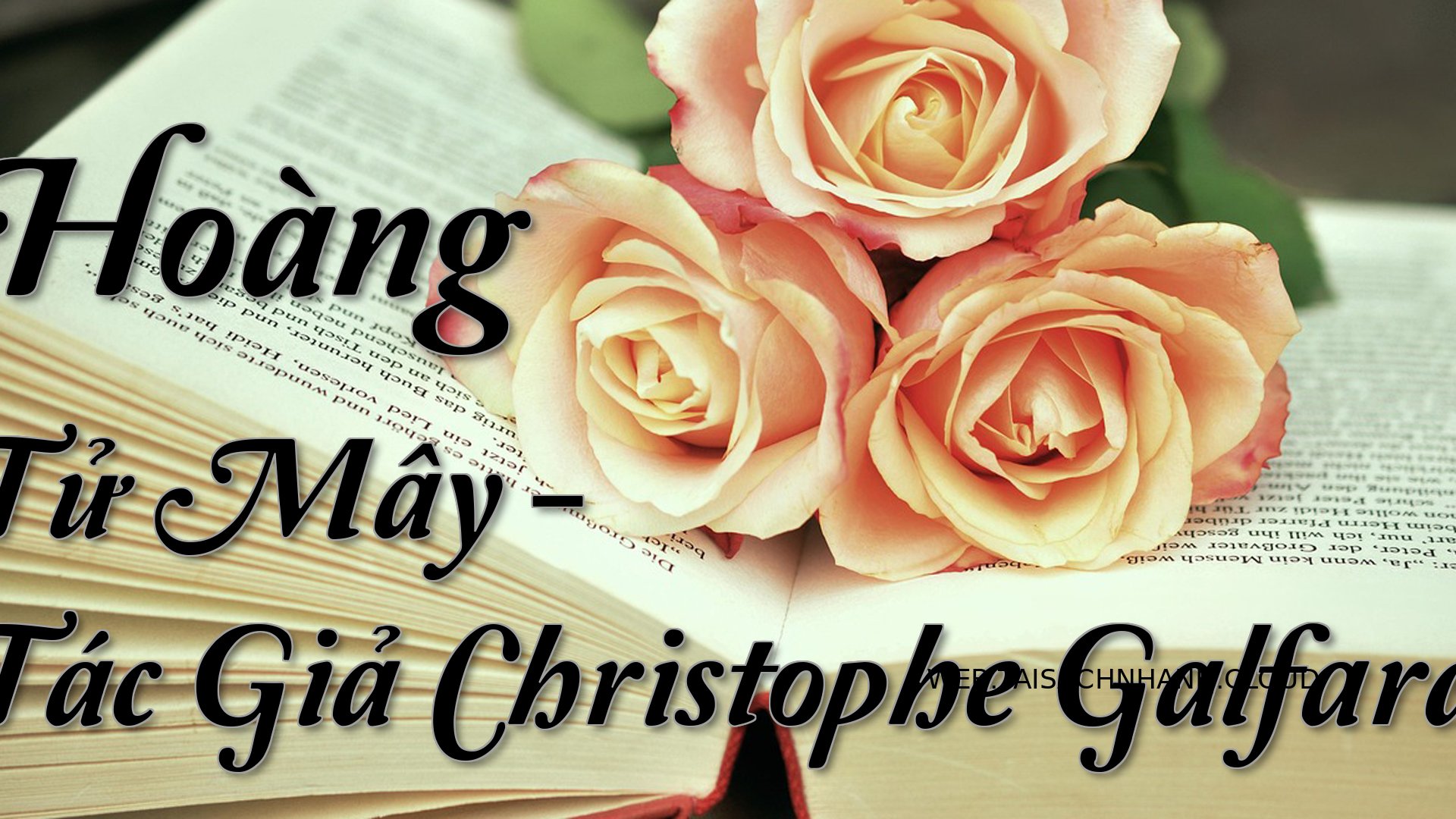 Cover Hoang Tu May.jpg