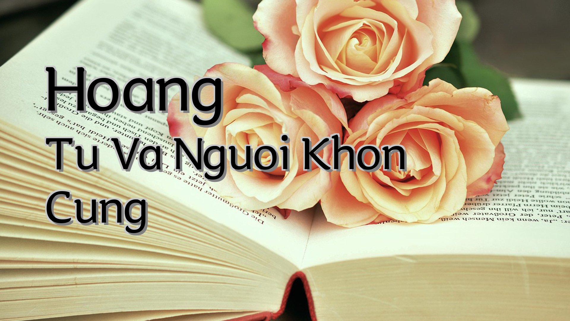 Cover image for Hoang Tu Va Nguoi Khon Cung