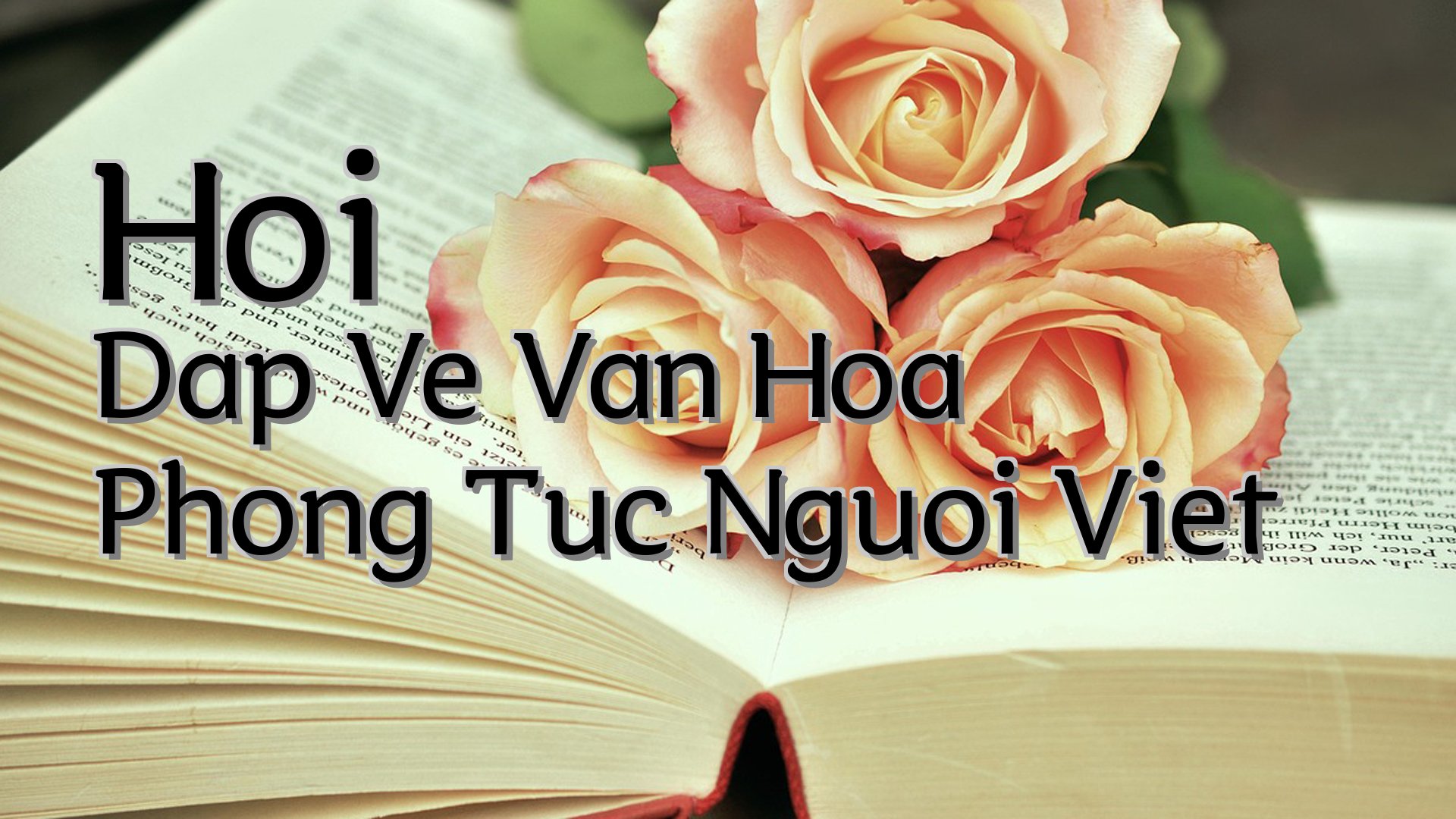 cover-Hoi Dap Ve Van Hoa Phong Tuc Nguoi Viet
