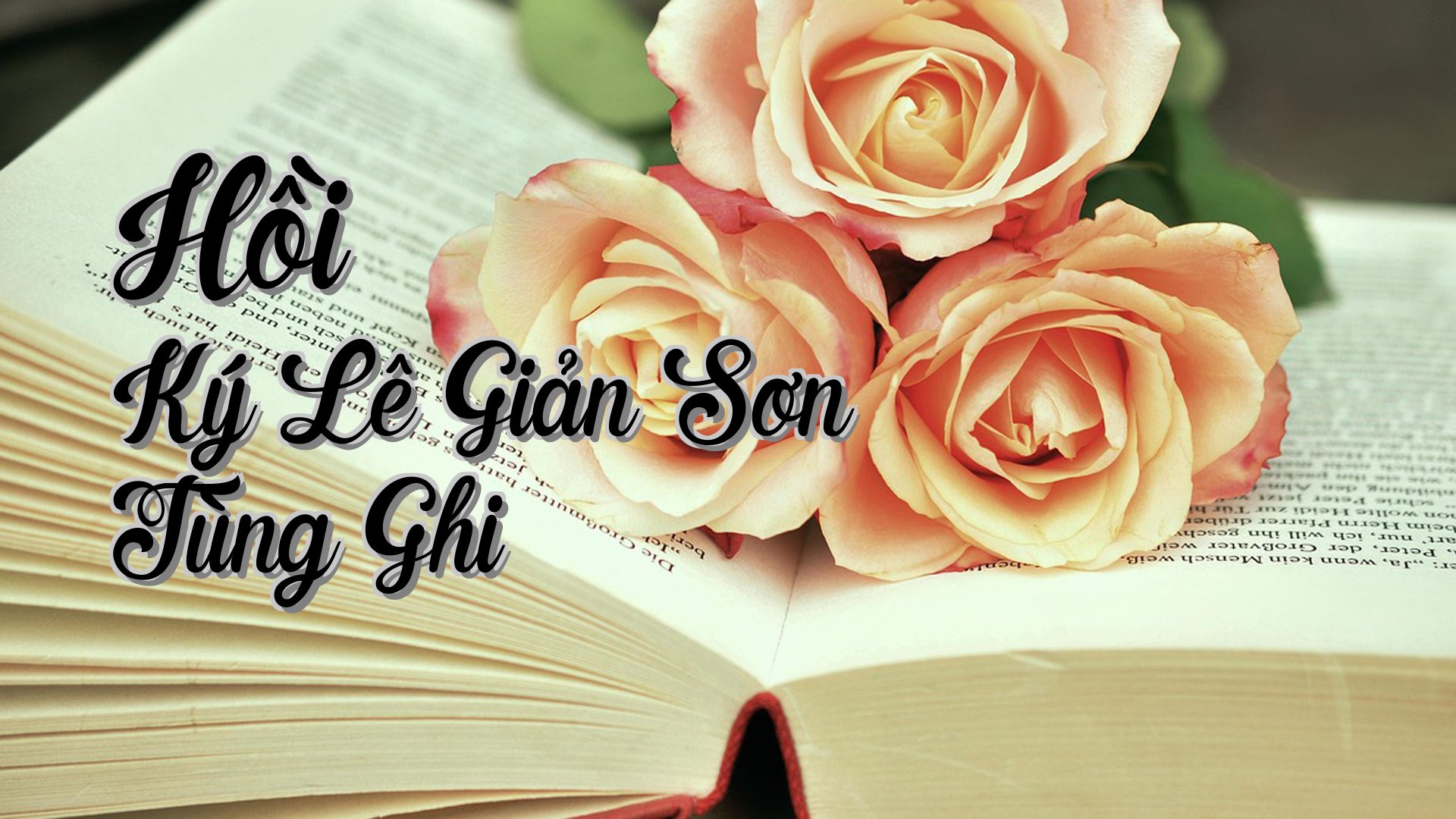 cover-Hồi Ký Lê Giản Sơn Tùng Ghi