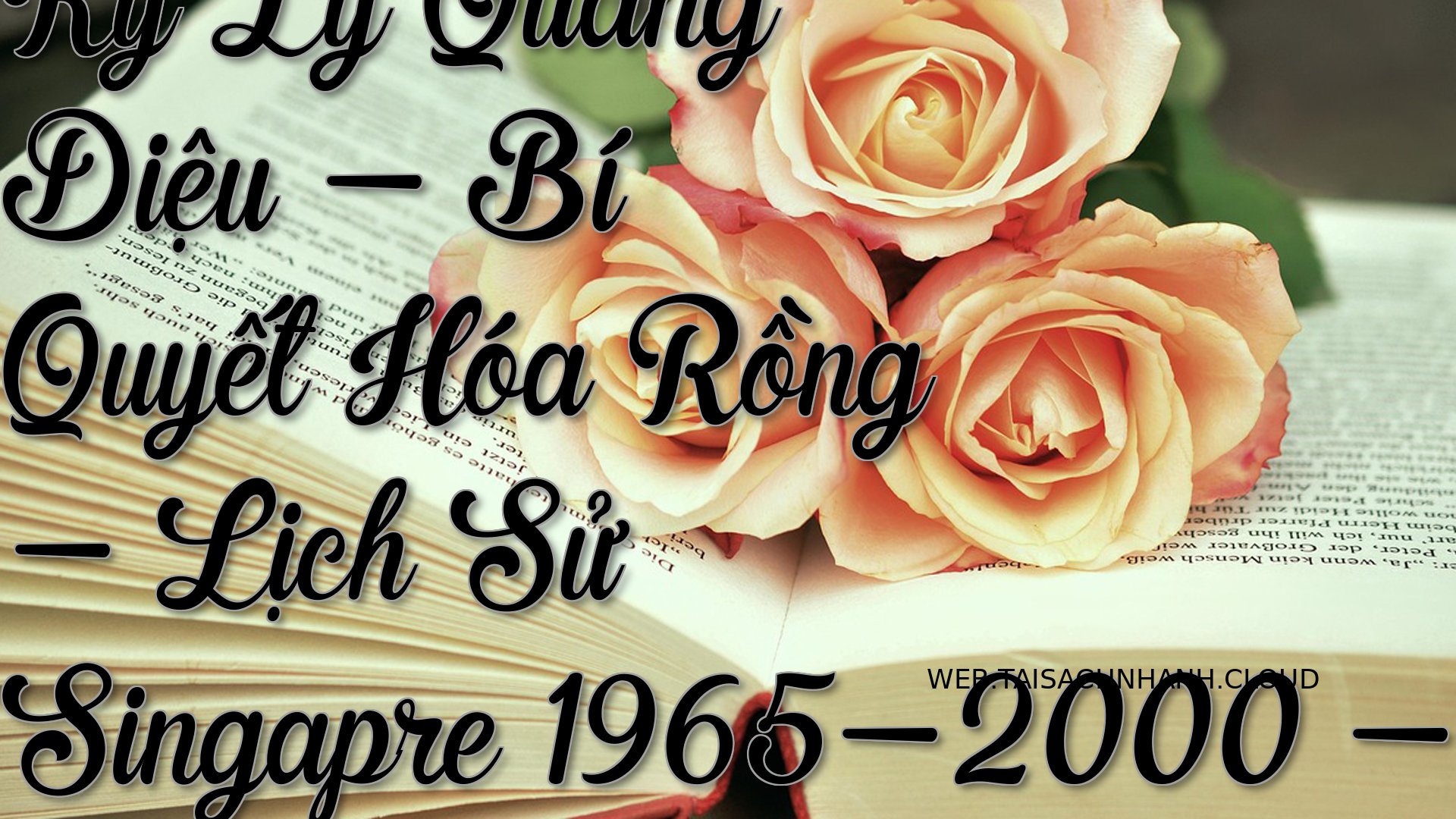 Cover Hoi Ky Ly Quang Dieu.jpg