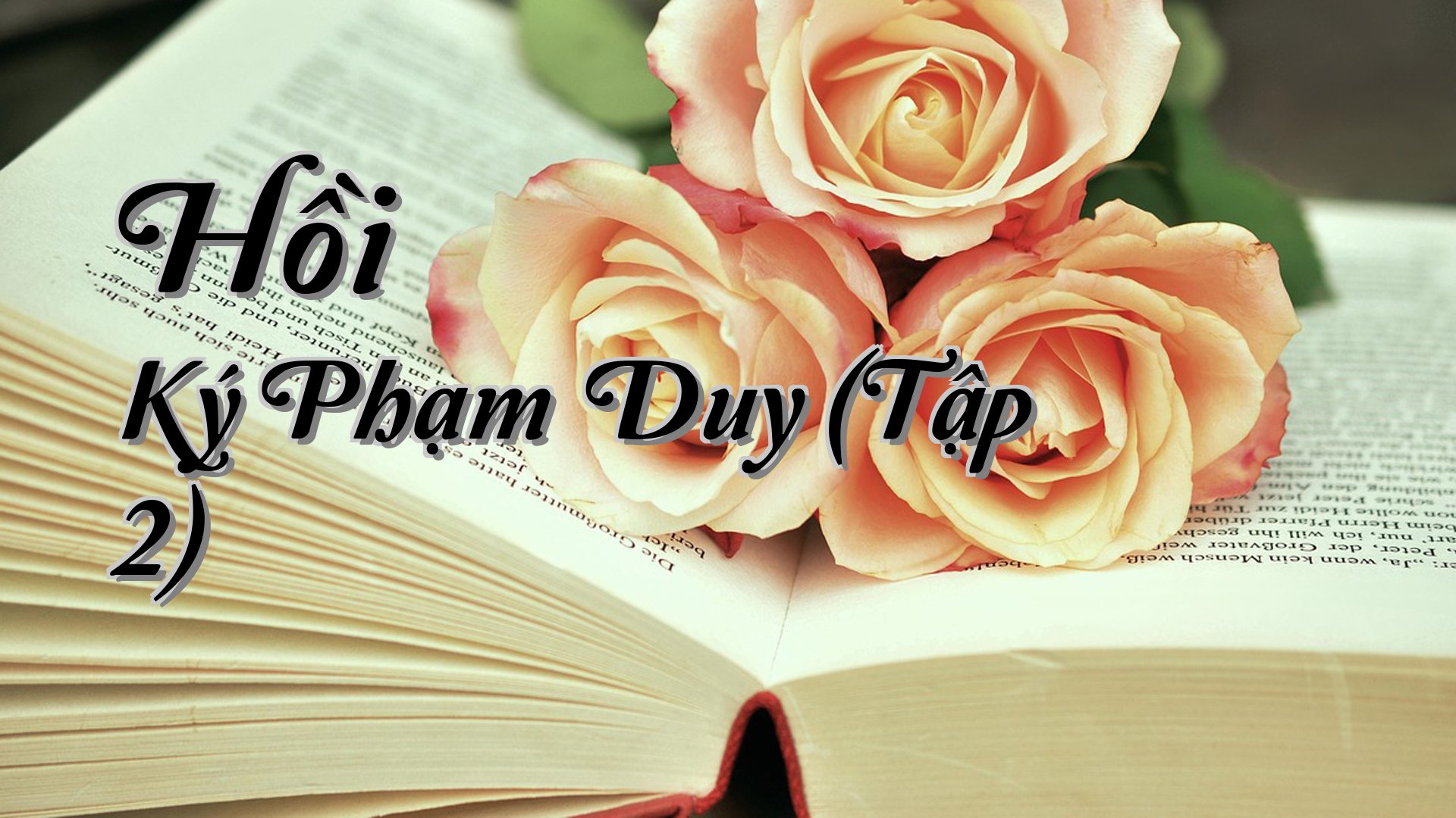 cover-Hồi Ký Phạm Duy (Tập 2)