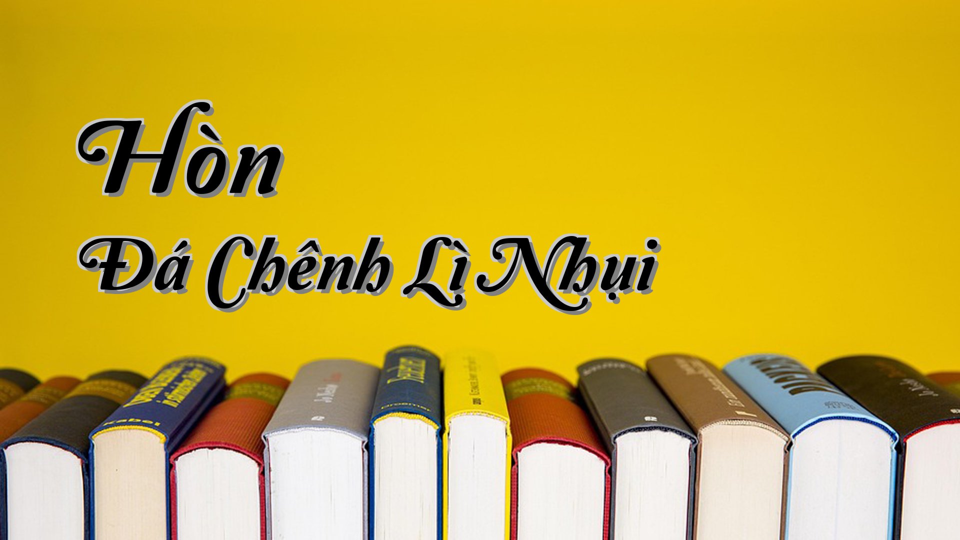 cover-Hòn Đá Chênh Lì Nhụi