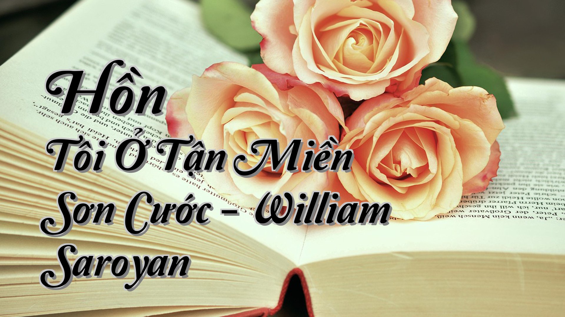 cover-Hồn Tôi Ở Tận Miền Sơn Cước - William Saroyan