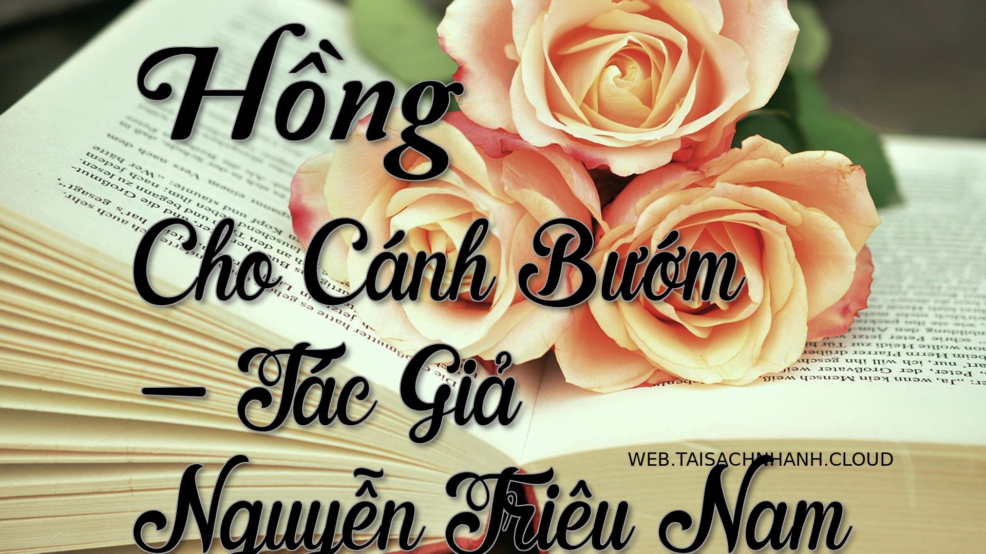 Cover Hong Cho Canh Buom.jpg