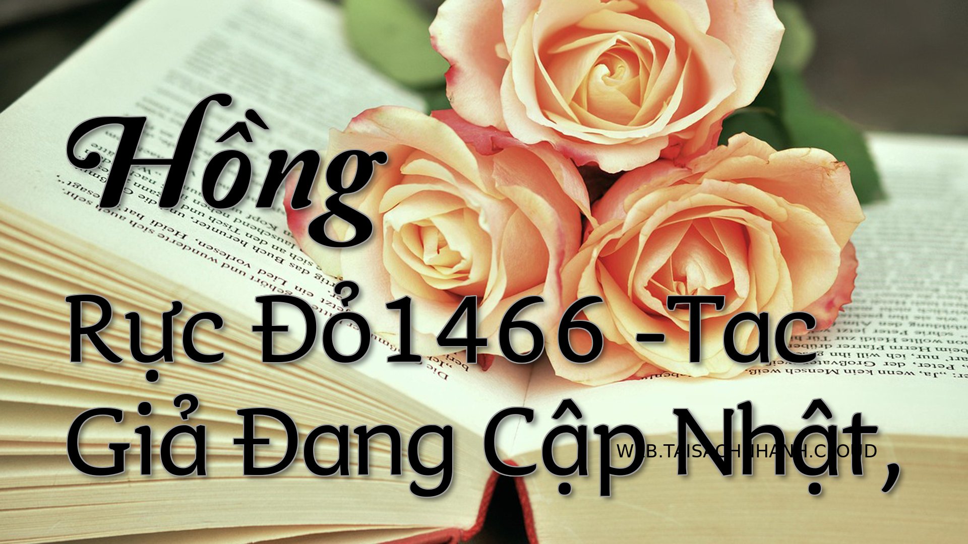 Cover Hong Ruc Do1466.jpg