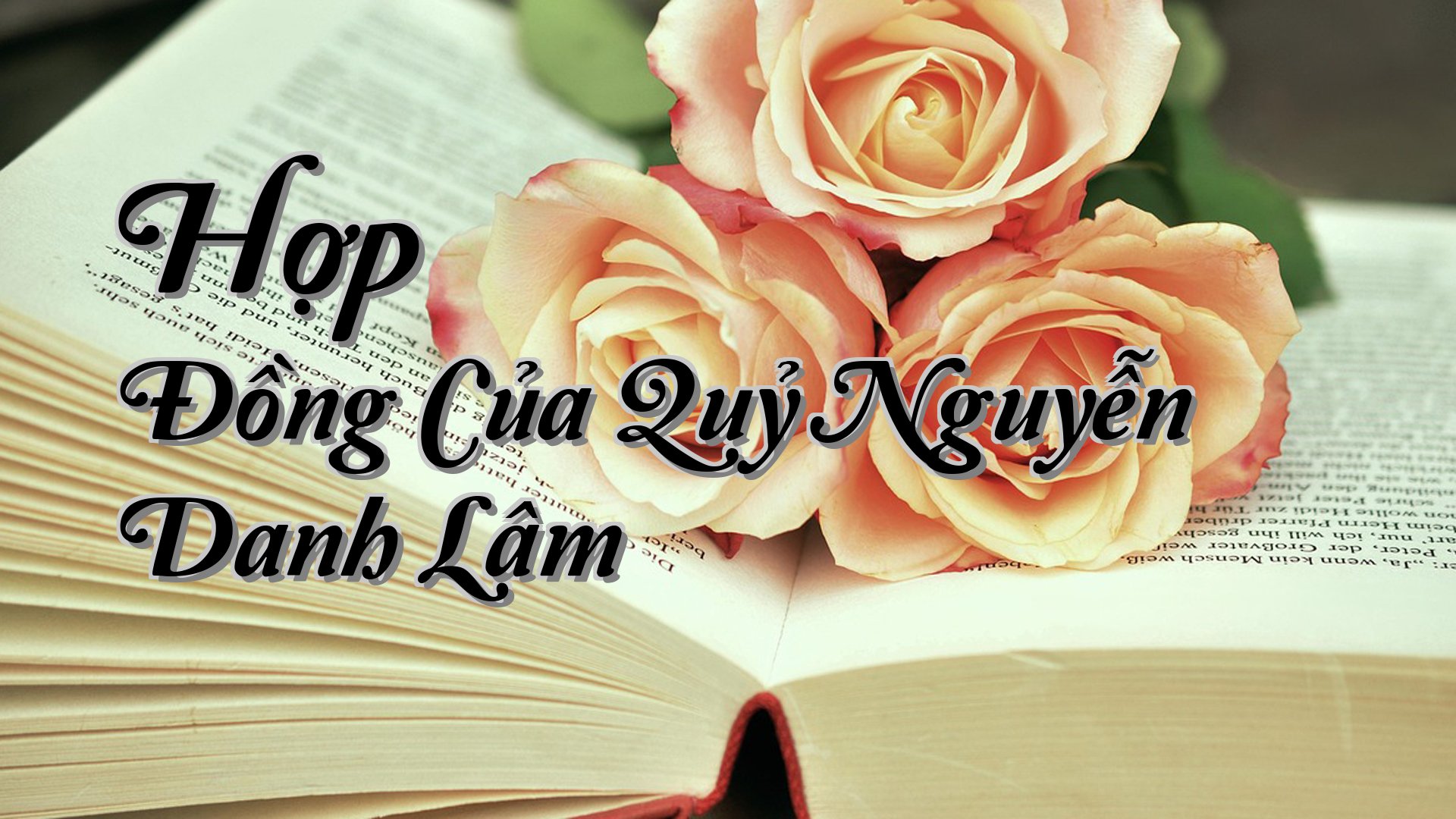 cover-Hợp Đồng Của Quỷ Nguyễn Danh Lâm