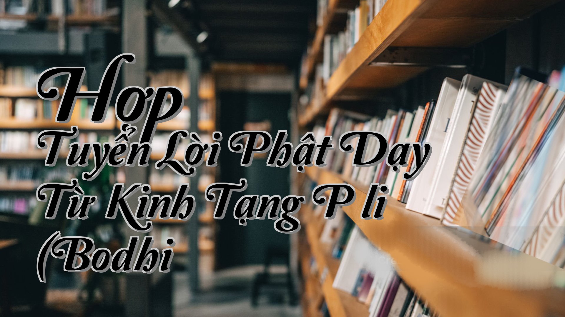 cover-Hợp Tuyển Lời Phật Dạy Từ Kinh Tạng Pāli (Bodhi