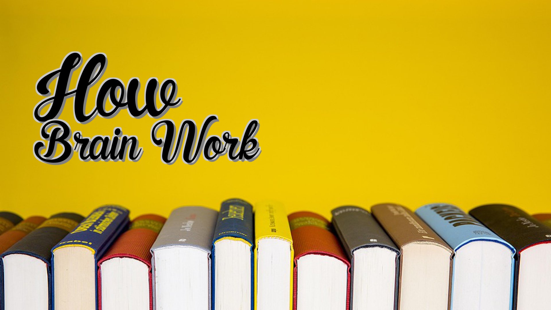 cover-How Brain Work