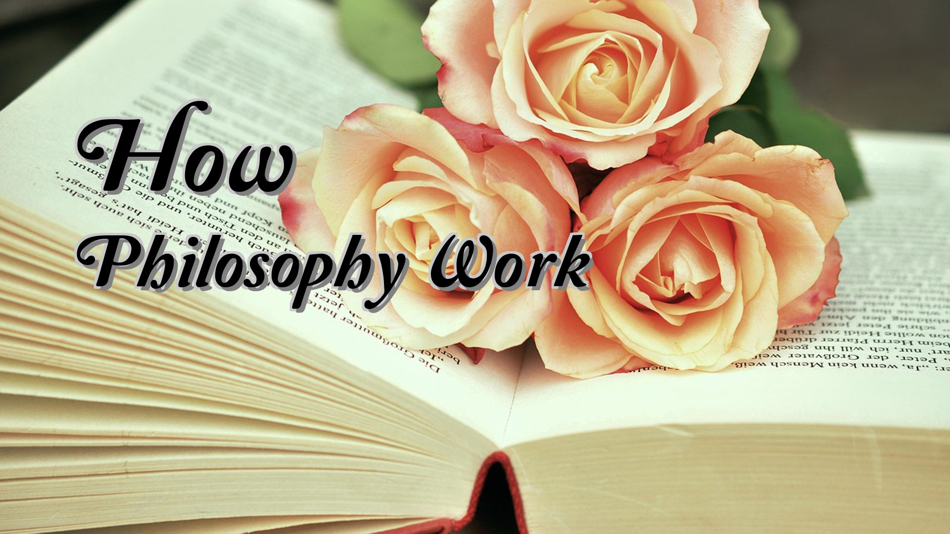 cover-How Philosophy Work