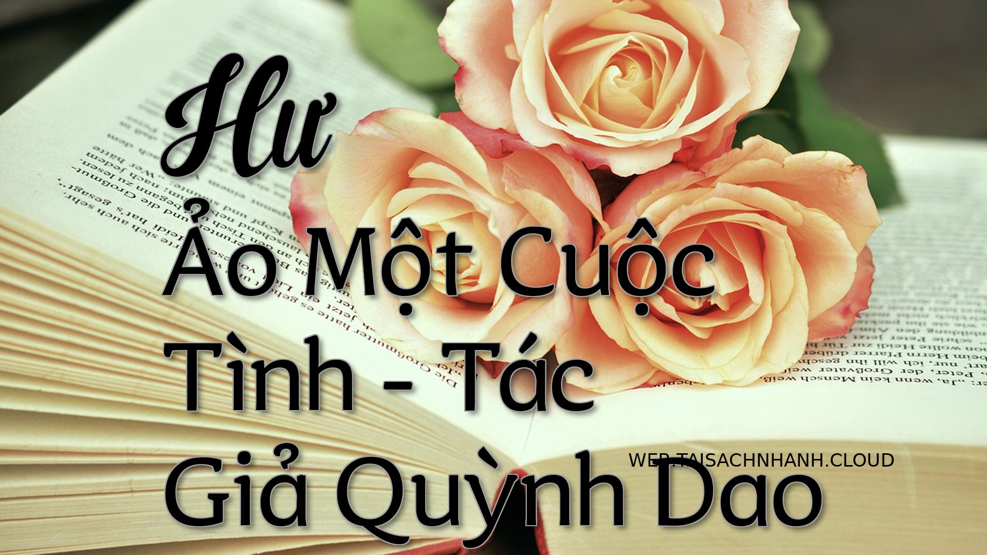 Cover Hu Ao Mot Cuoc Tinh.jpg