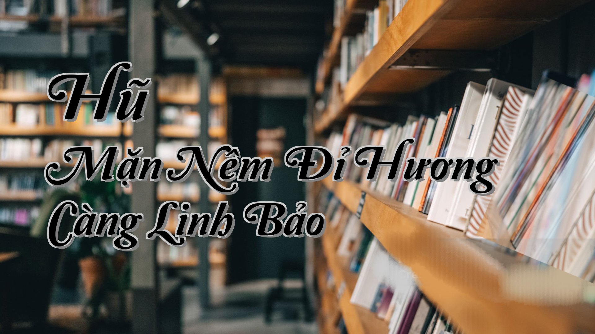 cover-Hũ Mặn Nêm Đỉ Hương Càng Linh Bảo