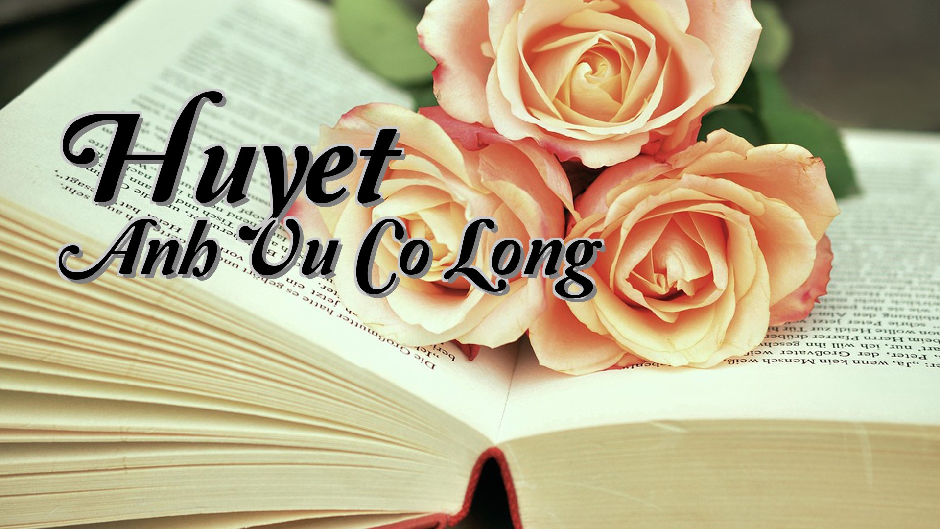 cover-Huyet Anh Vu Co Long