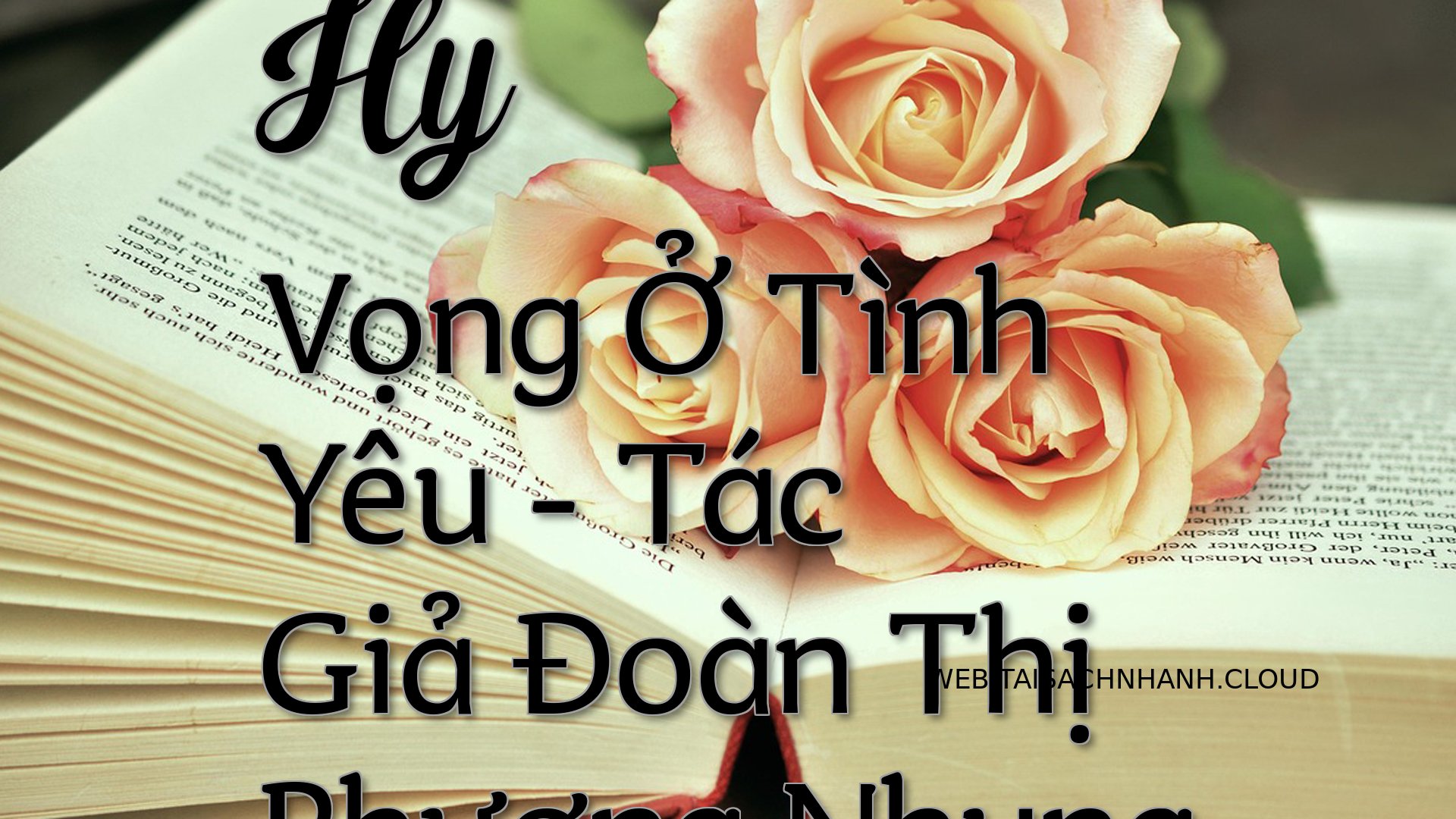 Cover Hy Vong O Tinh Yeu.jpg