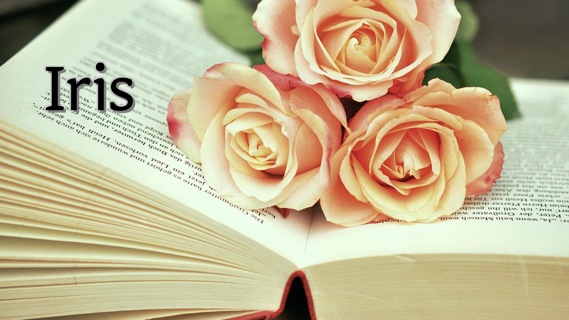cover-Iris