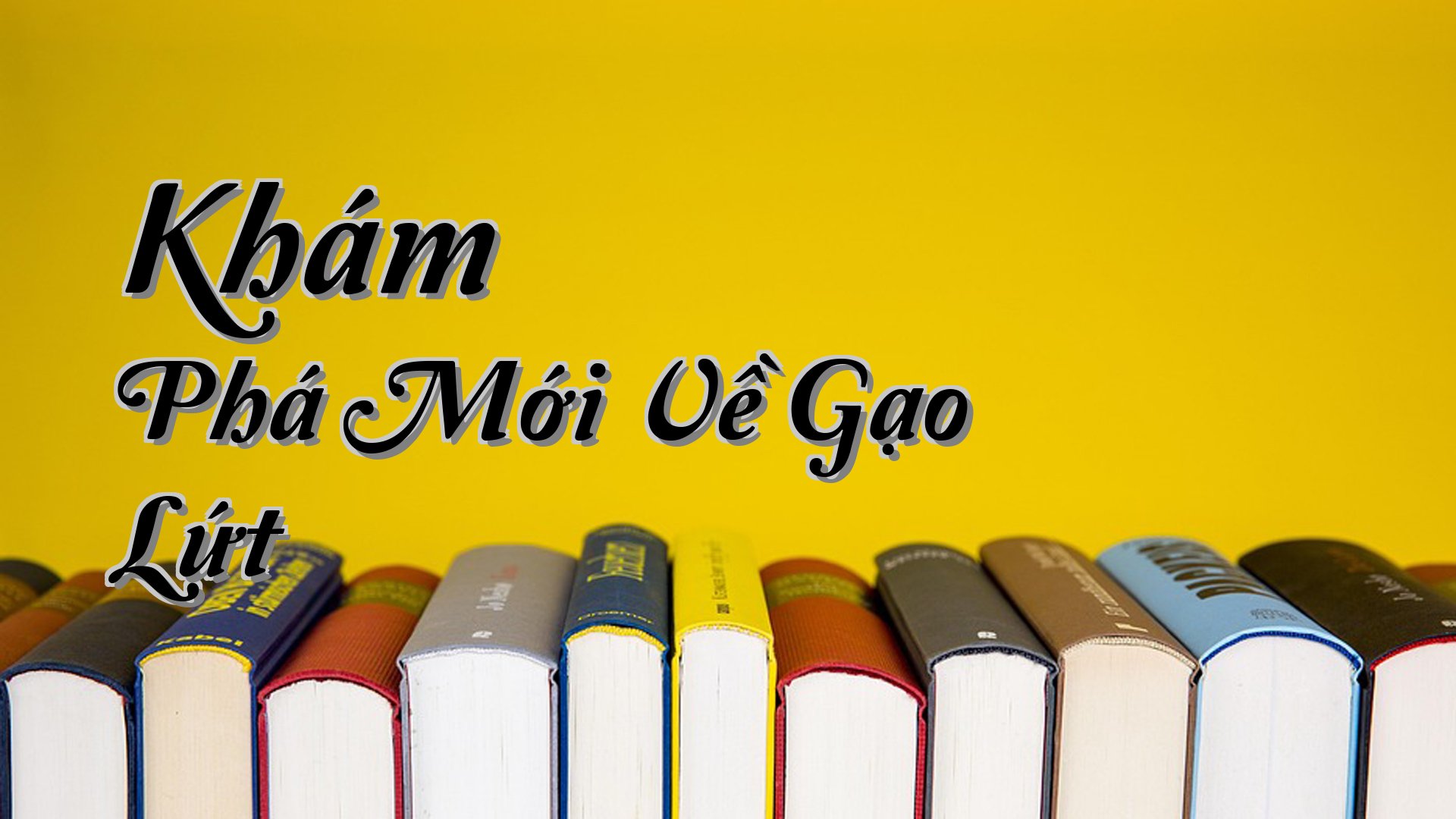 cover-Khám Phá Mới Về Gạo Lứt