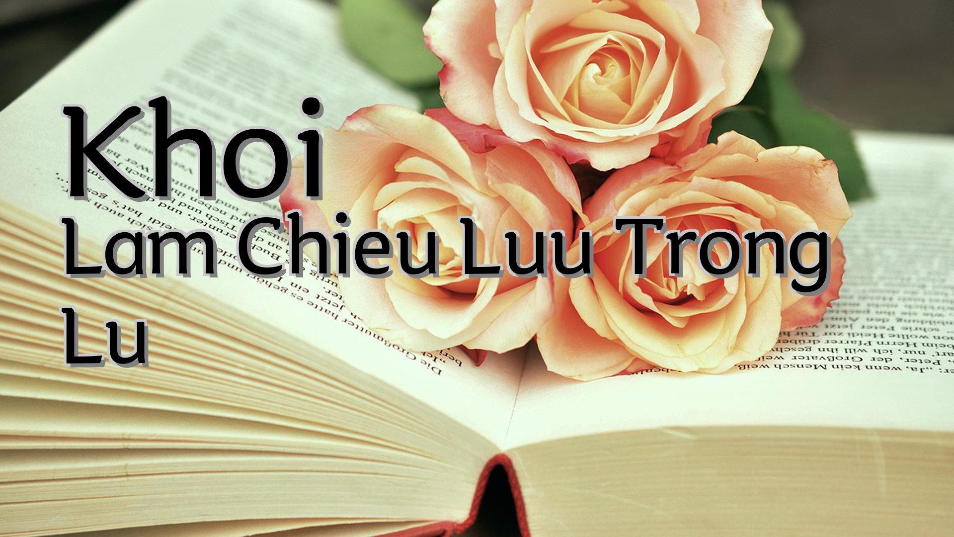 cover-Khoi Lam Chieu Luu Trong Lu