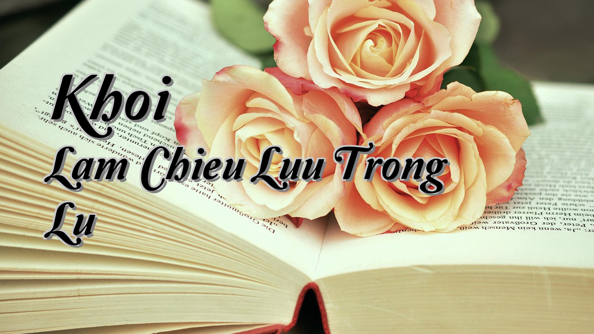 Cover image for Khoi Lam Chieu Luu Trong Lu