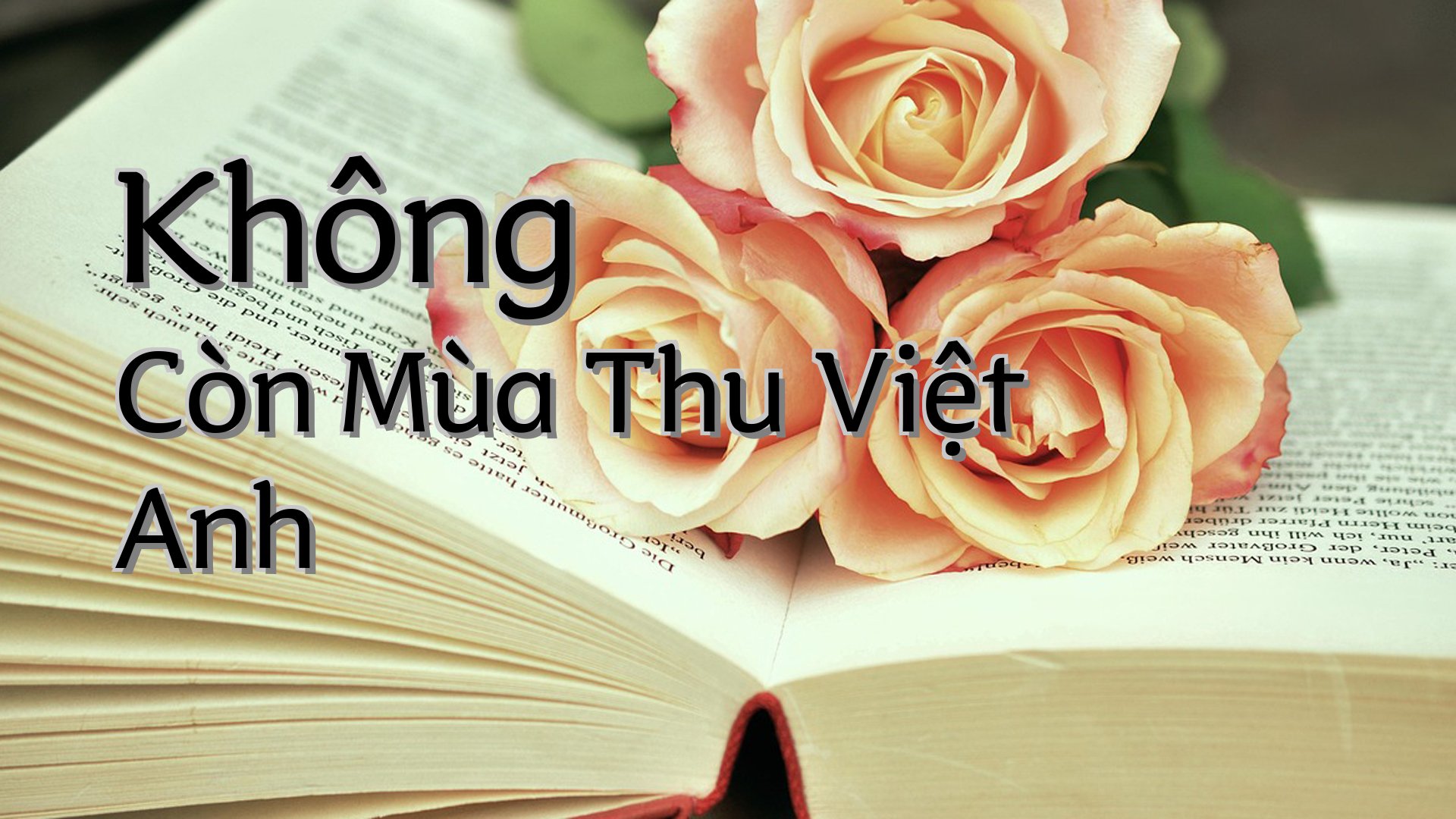 cover-Không Còn Mùa Thu Việt Anh