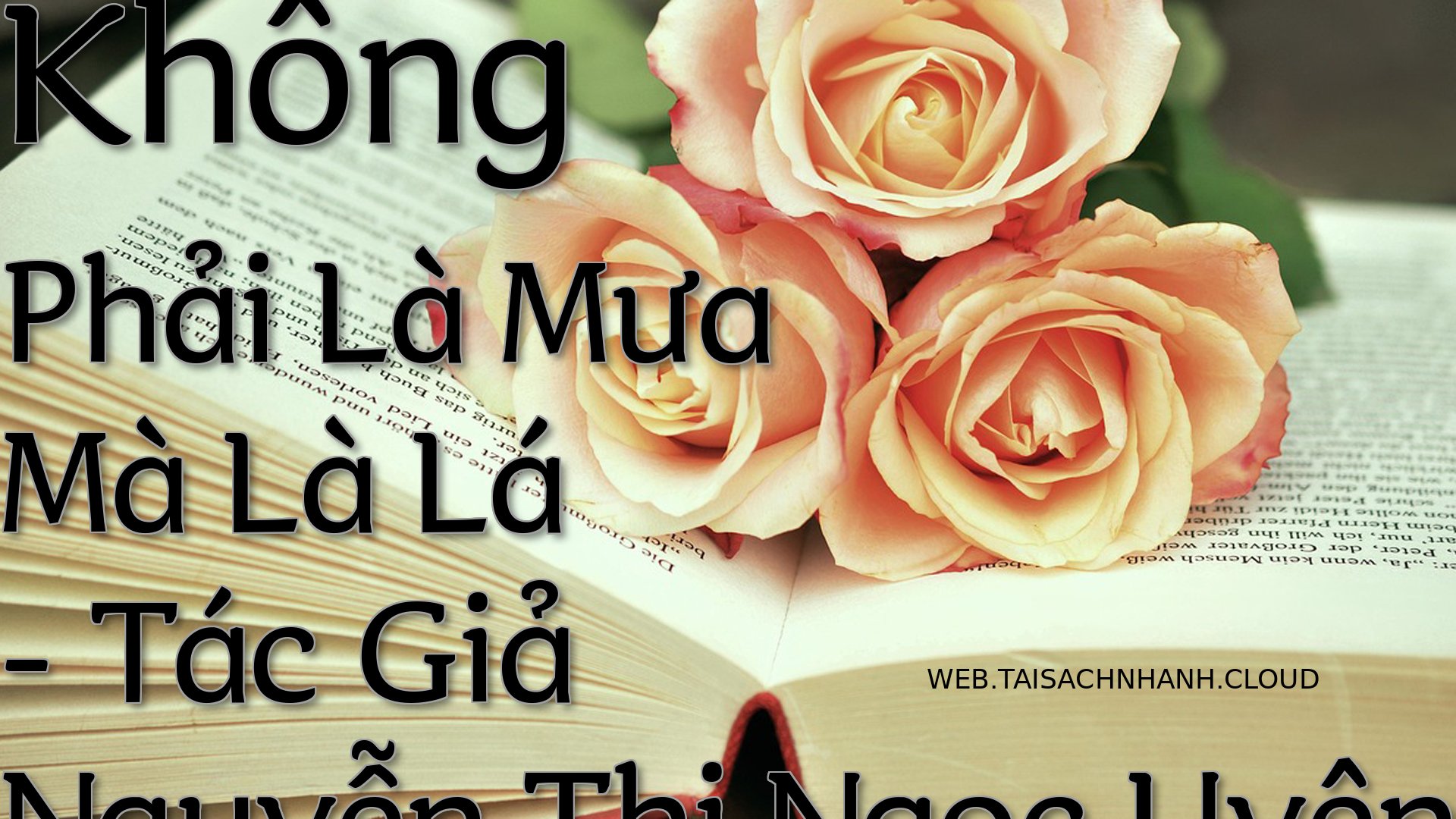 Cover Khong Phai La Mua Ma.jpg