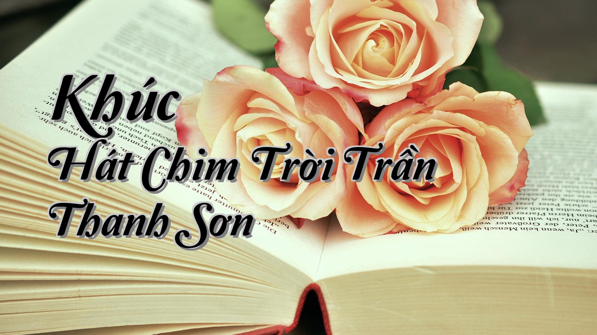 cover-Khúc Hát Chim Trời Trần Thanh Sơn