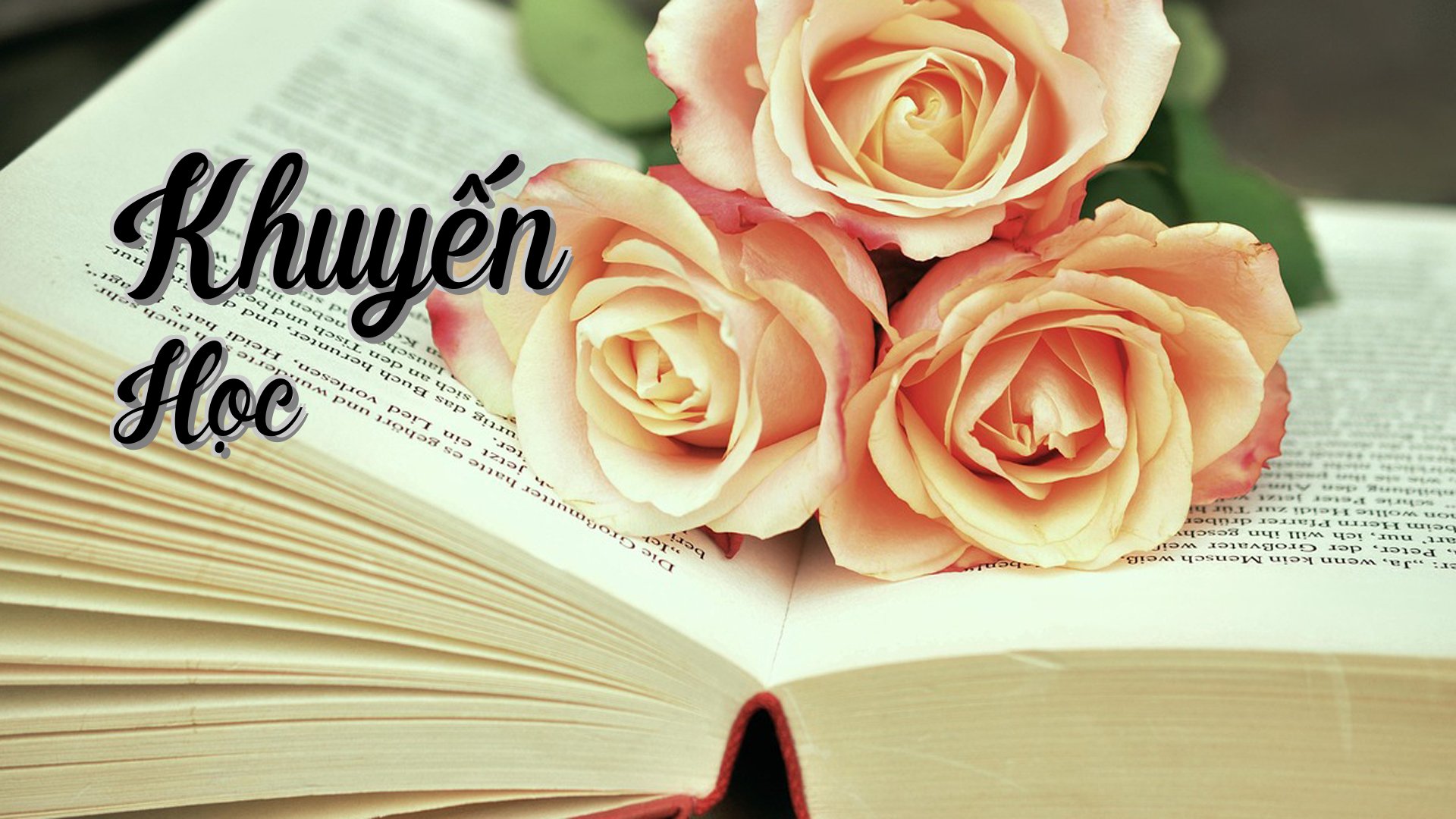 cover-Khuyến Học