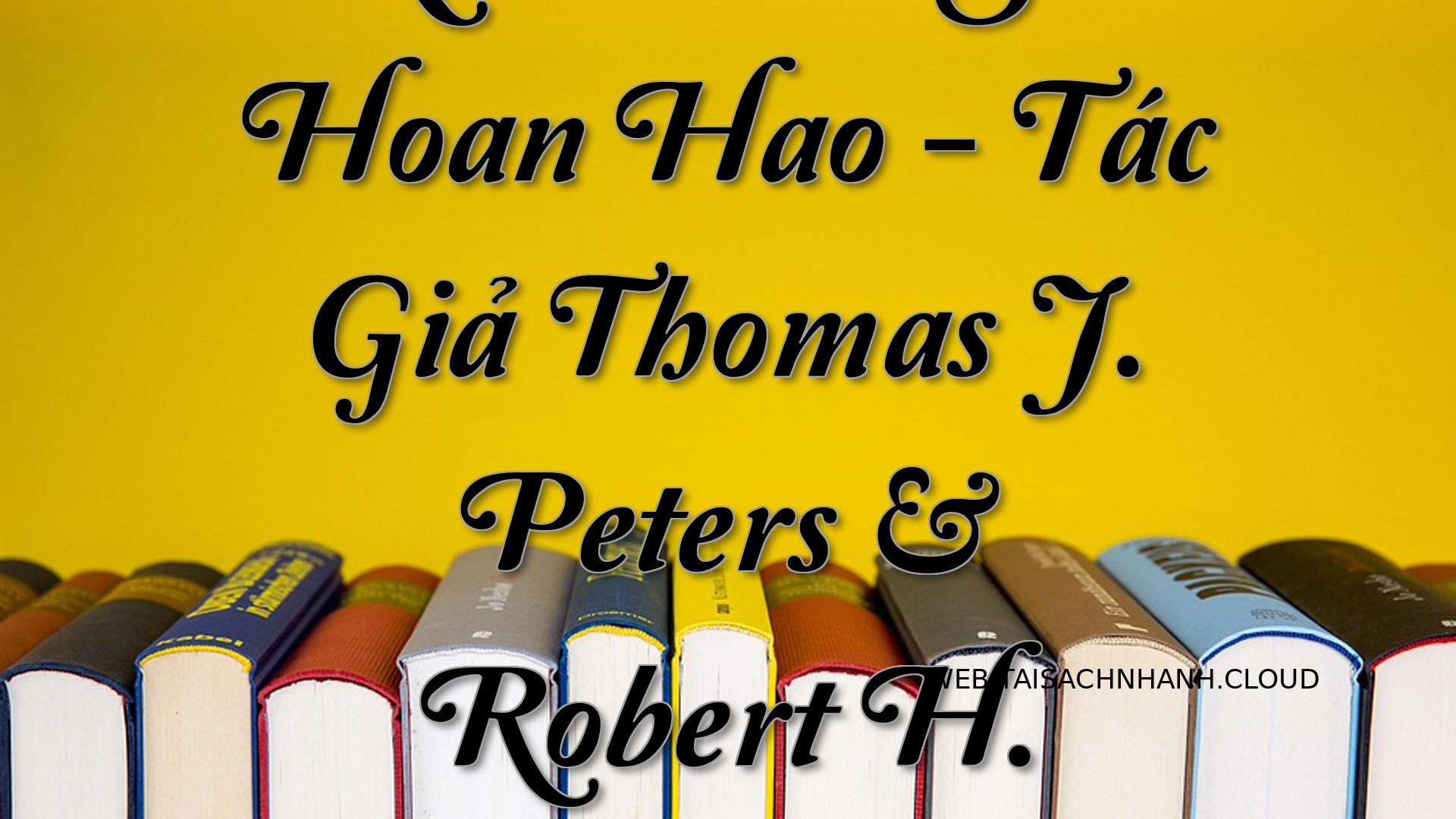 Cover Kiem Tim Su Hoan Hao.jpg