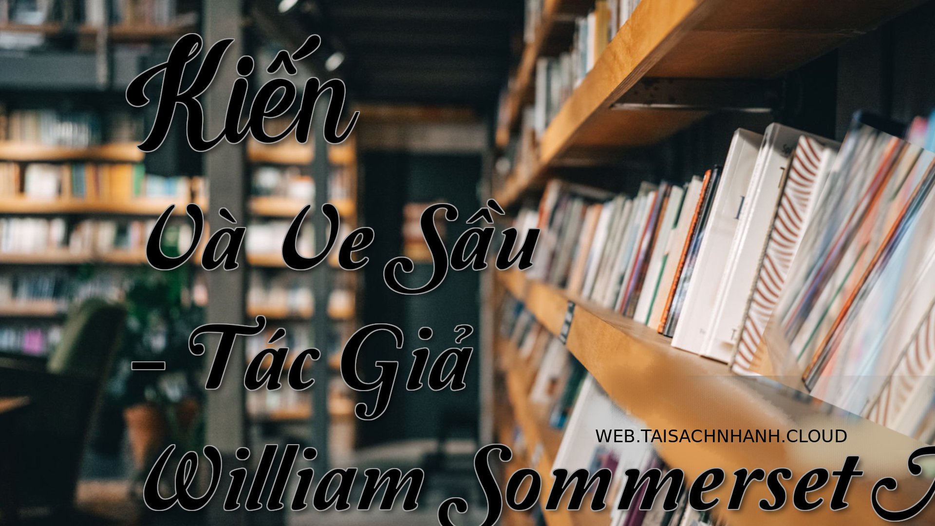 Cover Kien Va Ve Sau.jpg