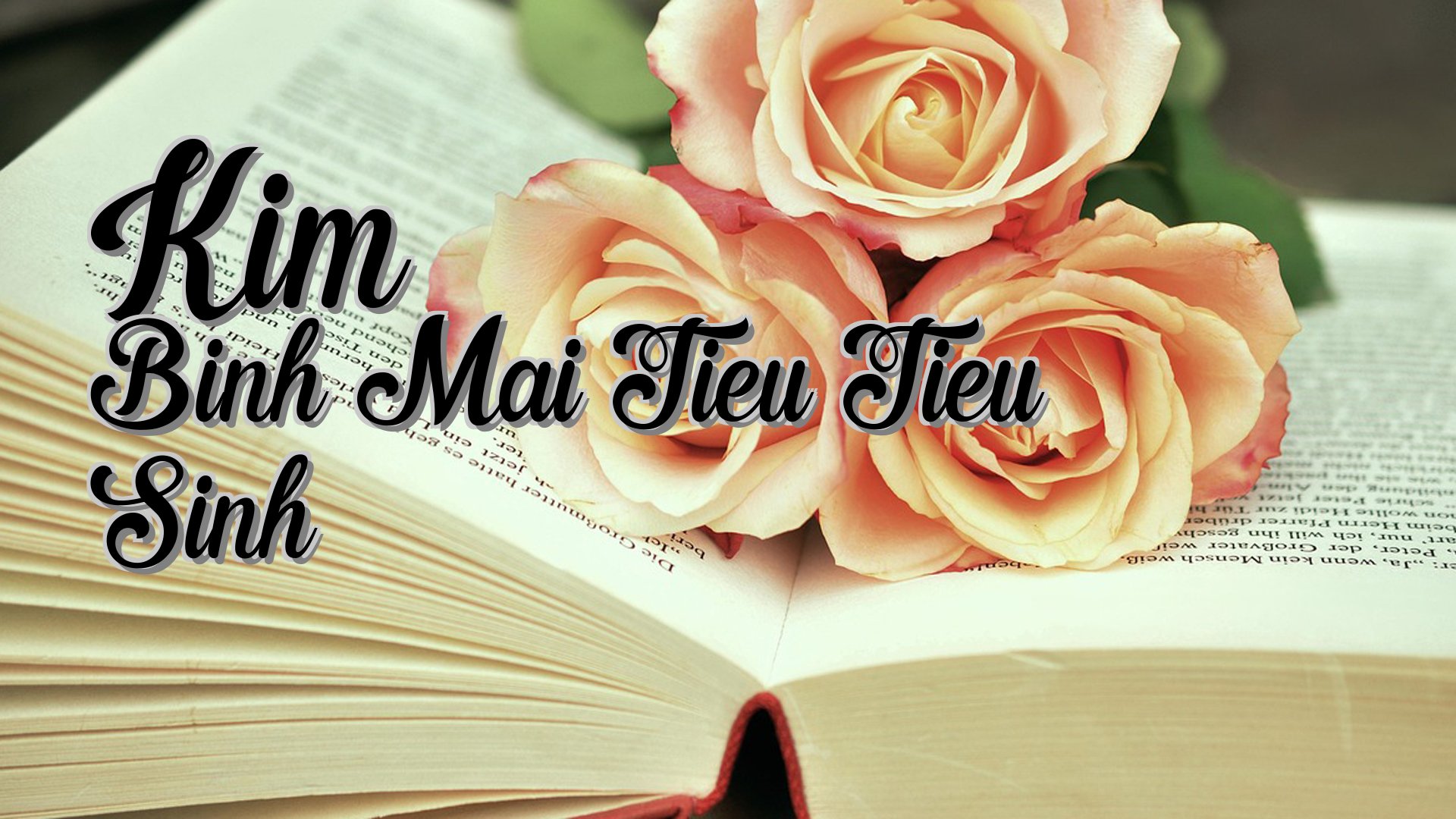 cover-Kim Binh Mai Tieu Tieu Sinh