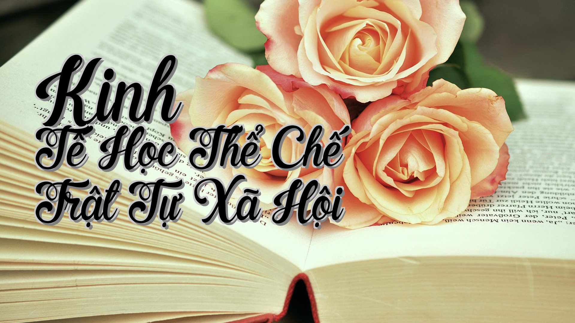 cover-Kinh Tế Học Thể Chế Trật Tự Xã Hội