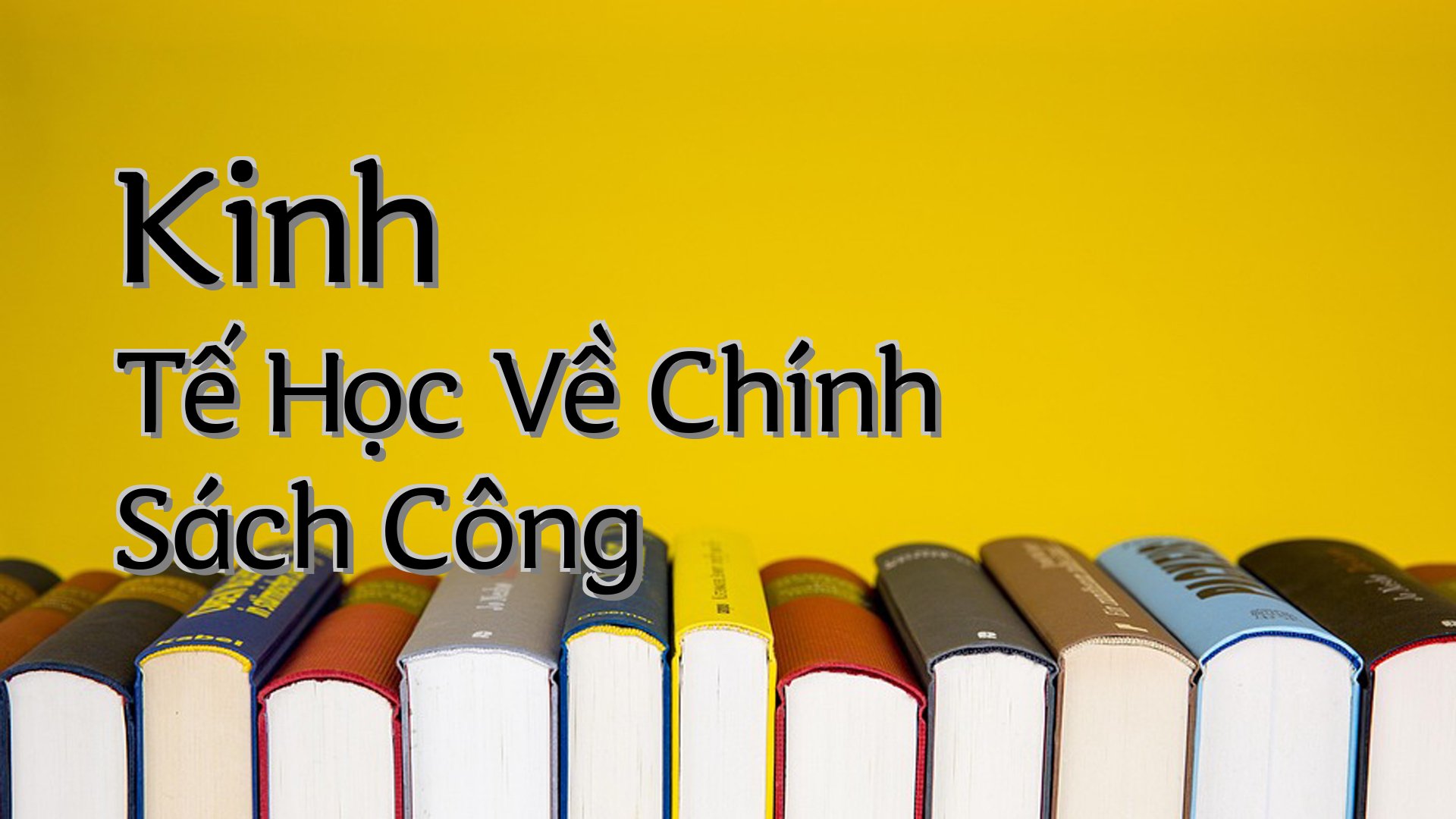 cover-Kinh Tế Học Về Chính Sách Công