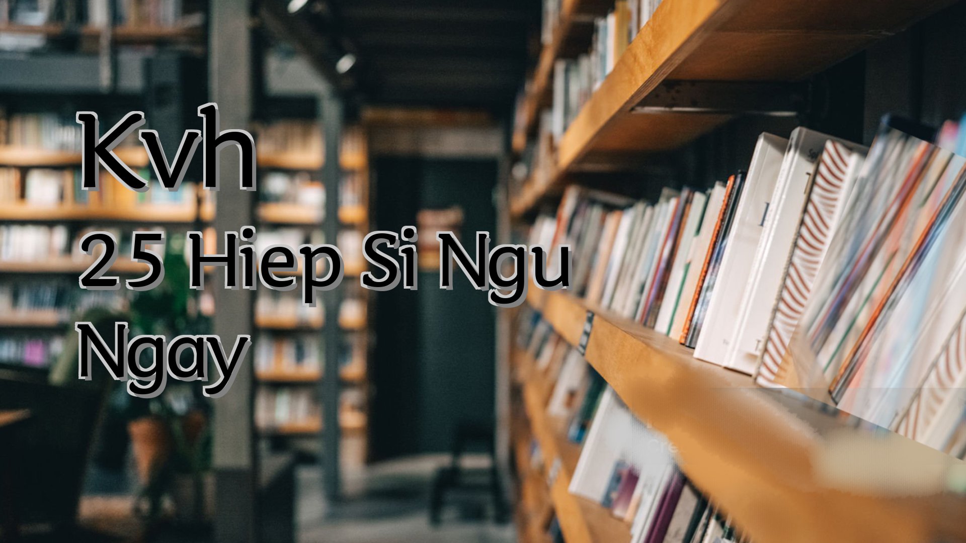 cover-Kvh 25 Hiep Si Ngu Ngay