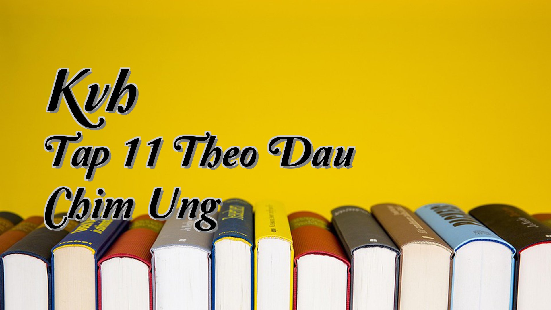 cover-Kvh Tap 11 Theo Dau Chim Ung