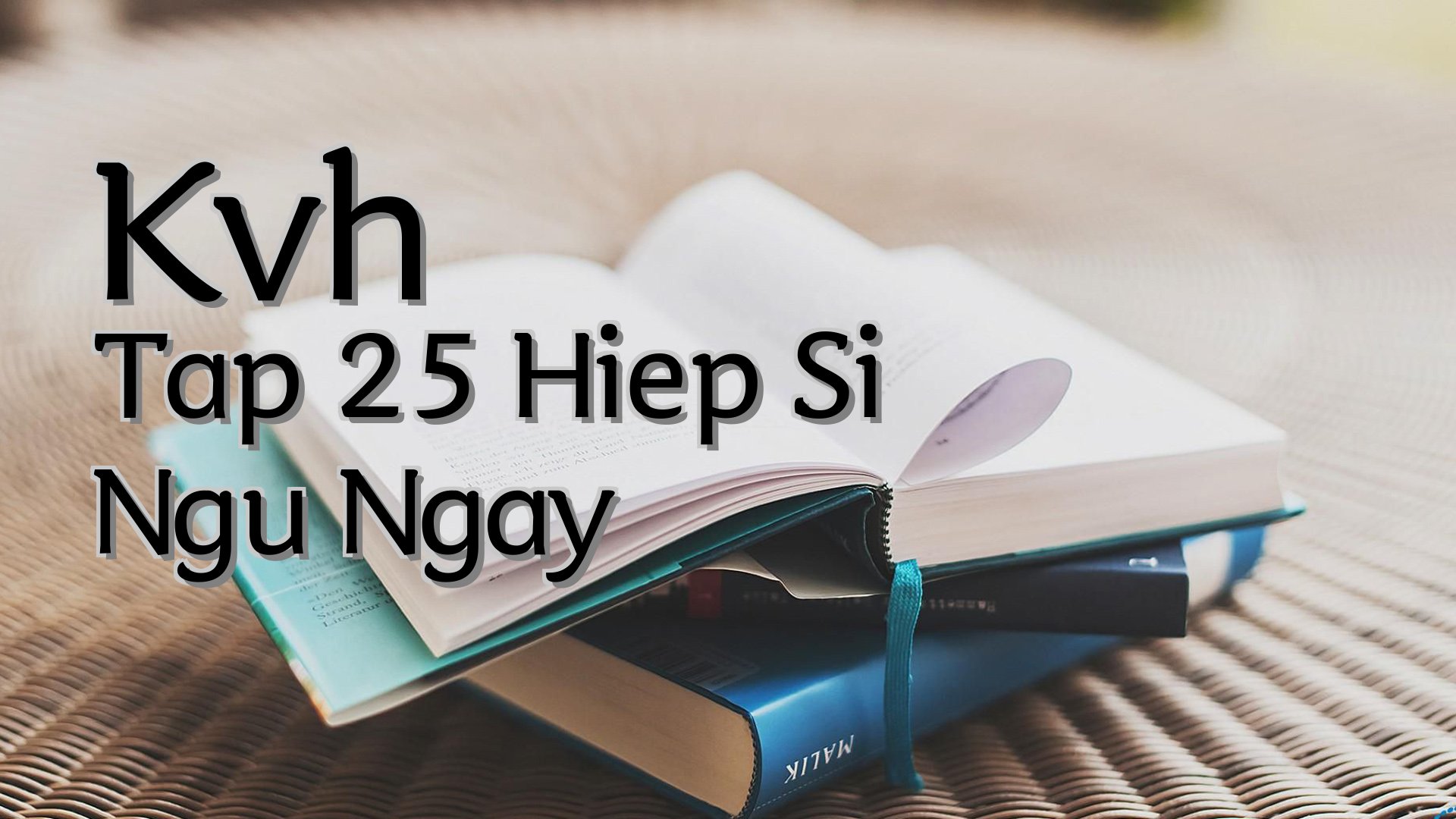 cover-Kvh Tap 25 Hiep Si Ngu Ngay