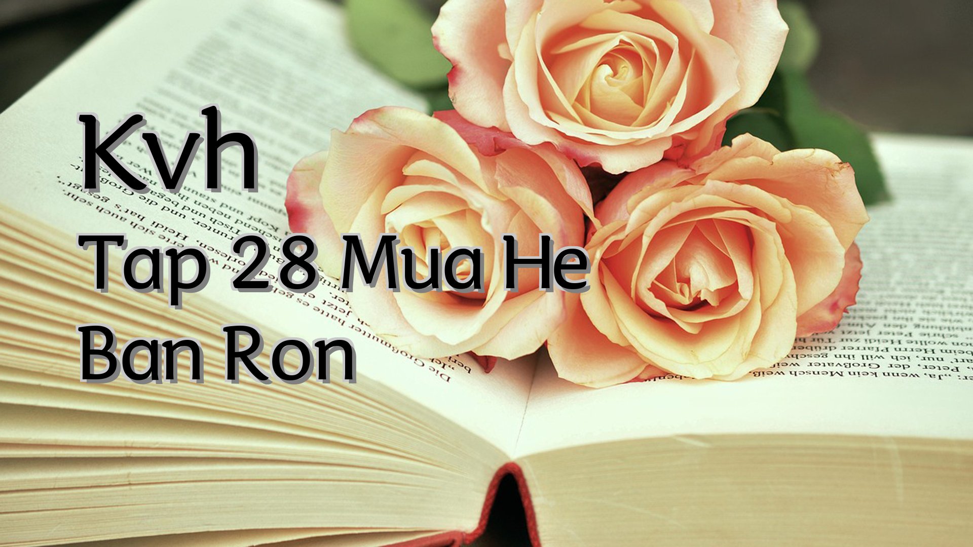 Cover image for Kvh Tap 28 Mua He Ban Ron