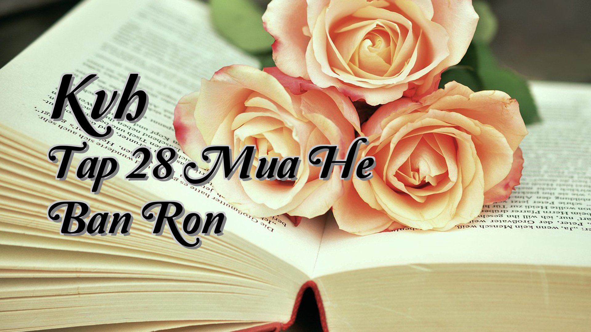 cover-Kvh Tap 28 Mua He Ban Ron