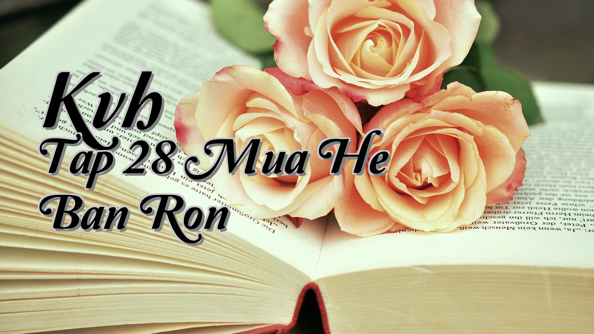 cover-Kvh Tap 28 Mua He Ban Ron
