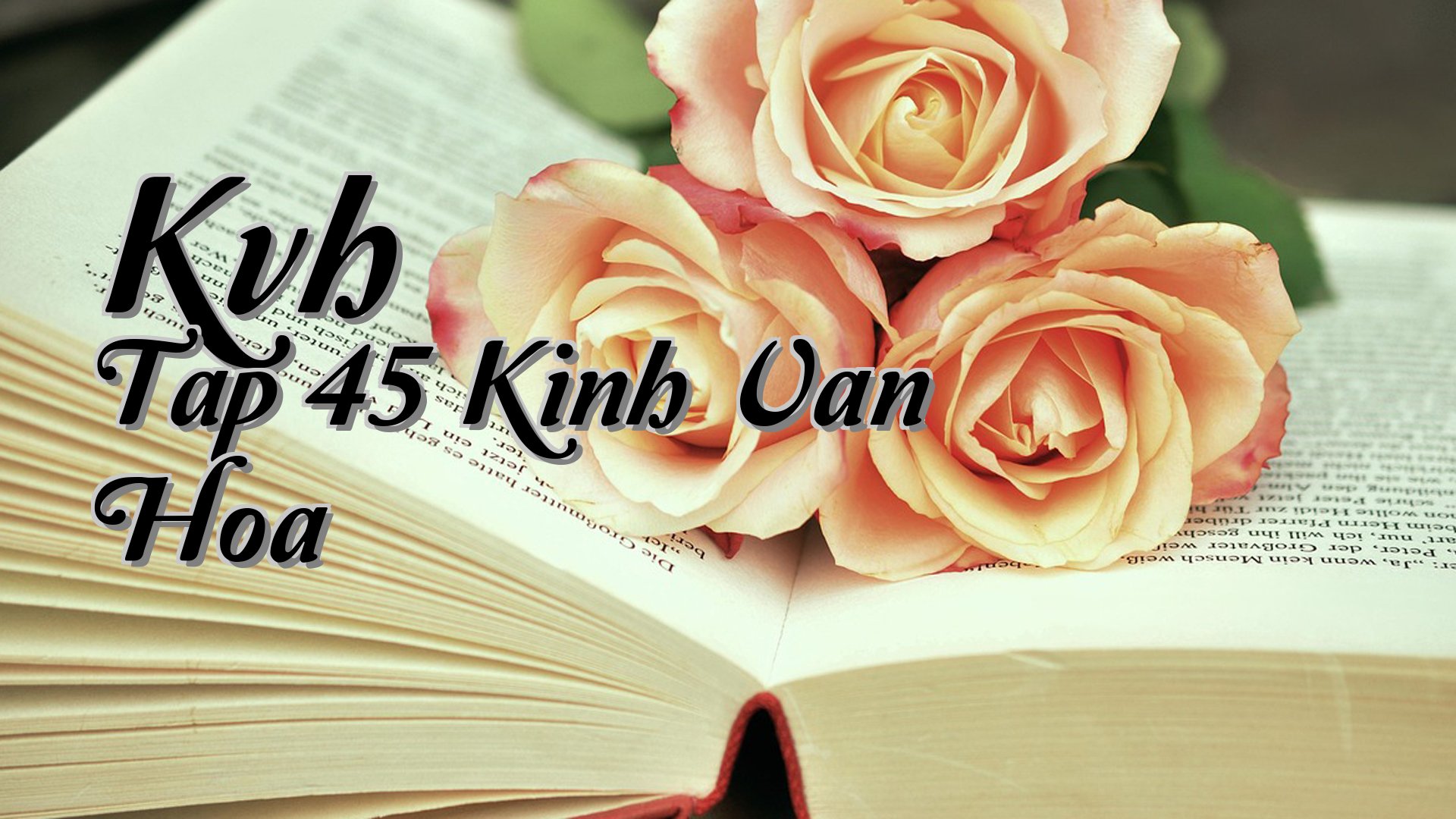 cover-Kvh Tap 45 Kinh Van Hoa