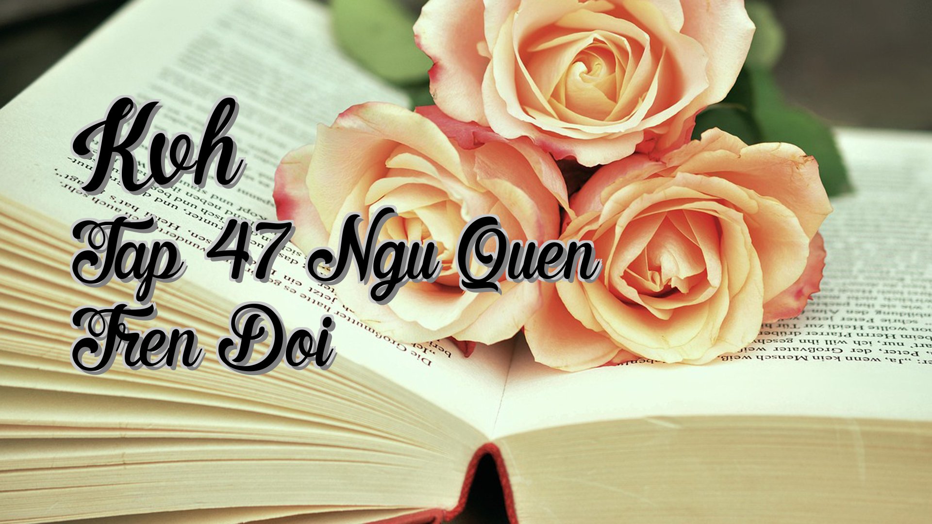 Cover image for Kvh Tap 47 Ngu Quen Tren Doi