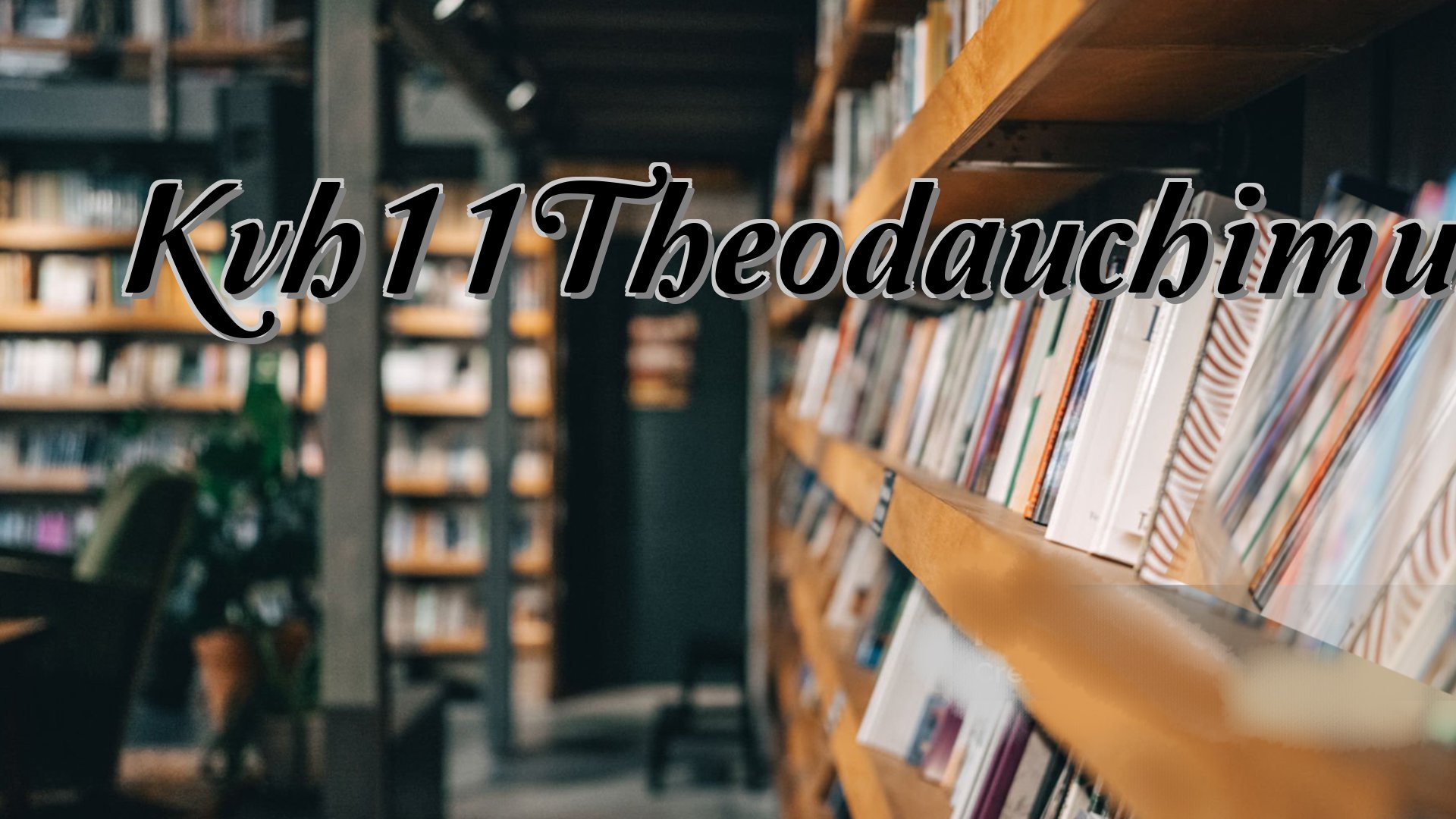 Cover image for Kvh11Theodauchimung