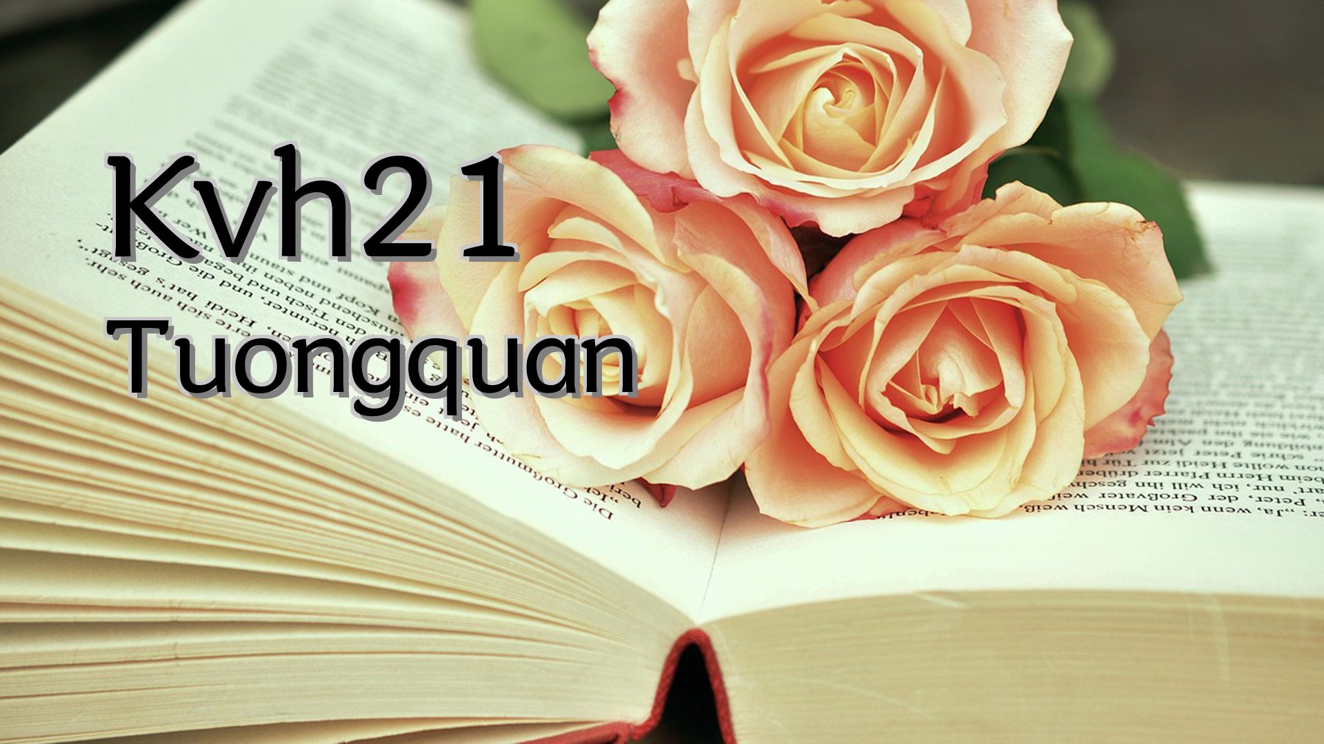 Cover image for Kvh21 Tuongquan