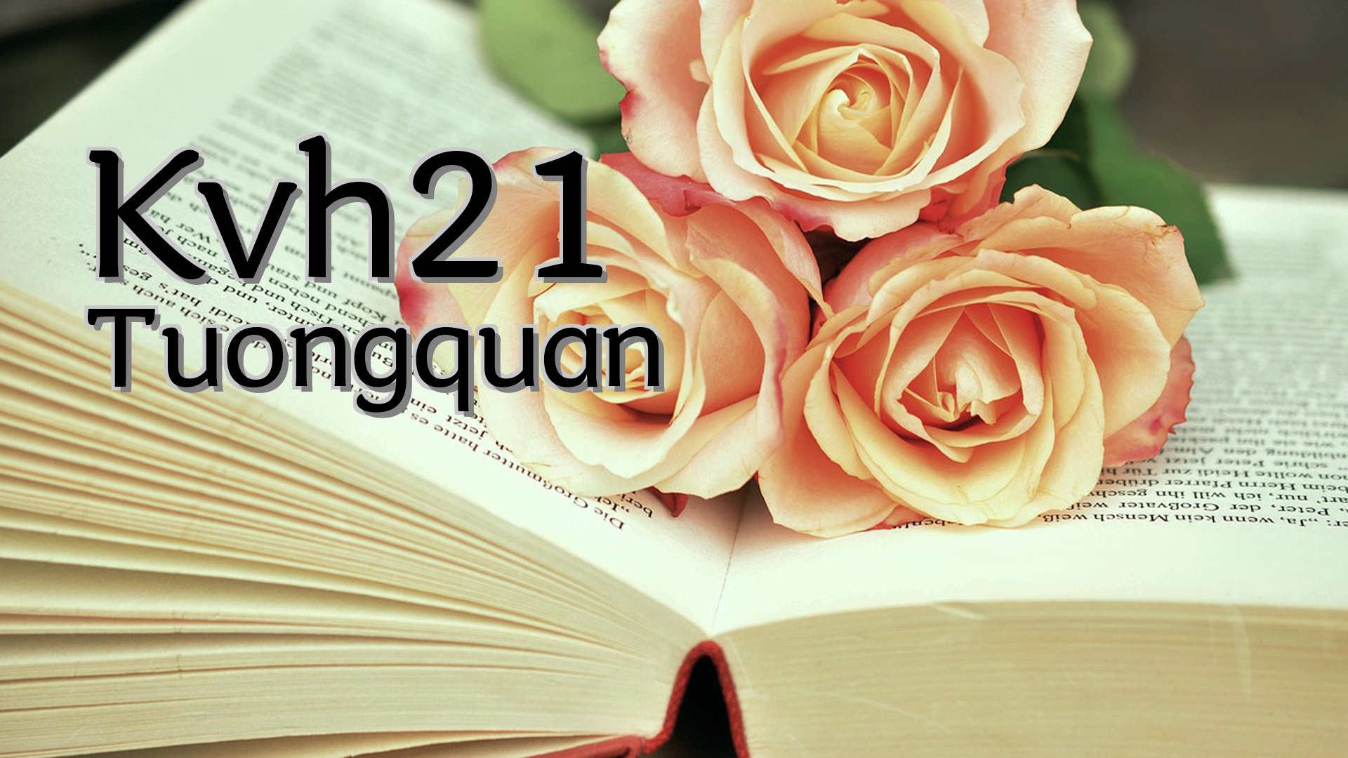 cover-Kvh21 Tuongquan