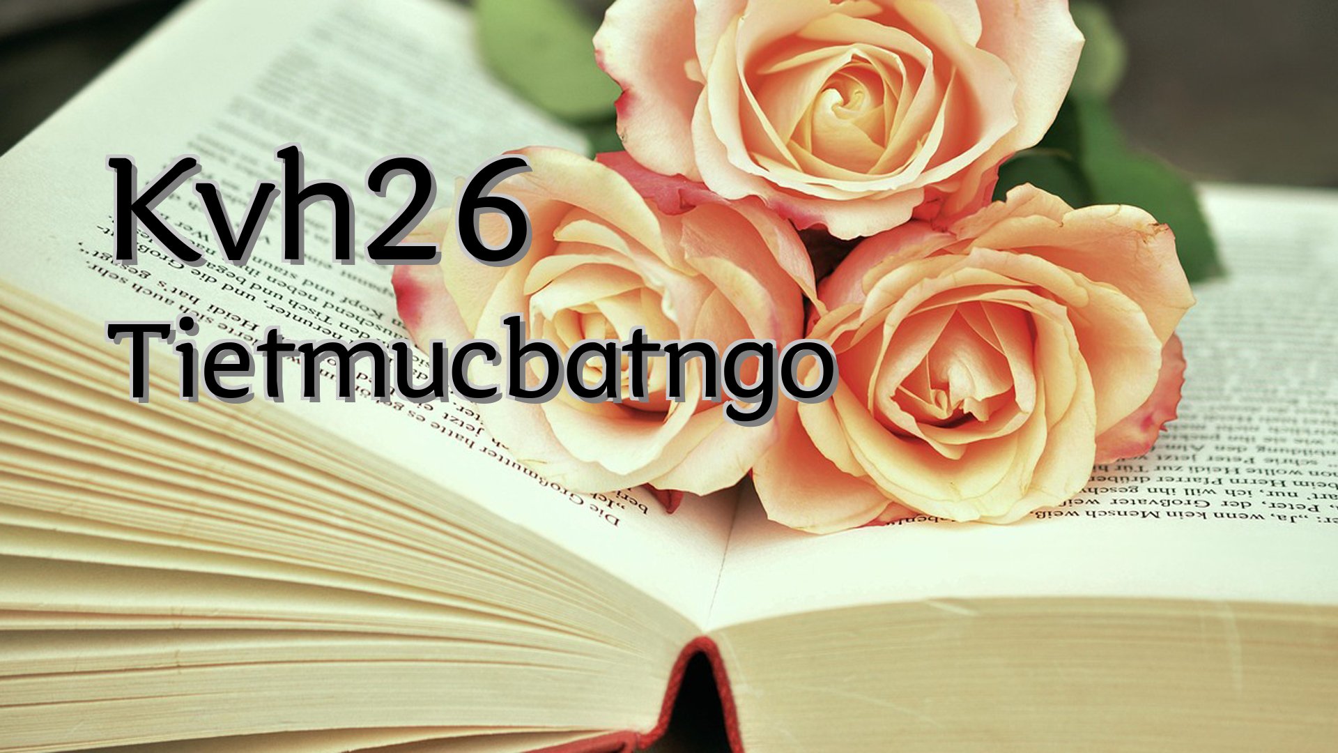 cover-Kvh26 Tietmucbatngo