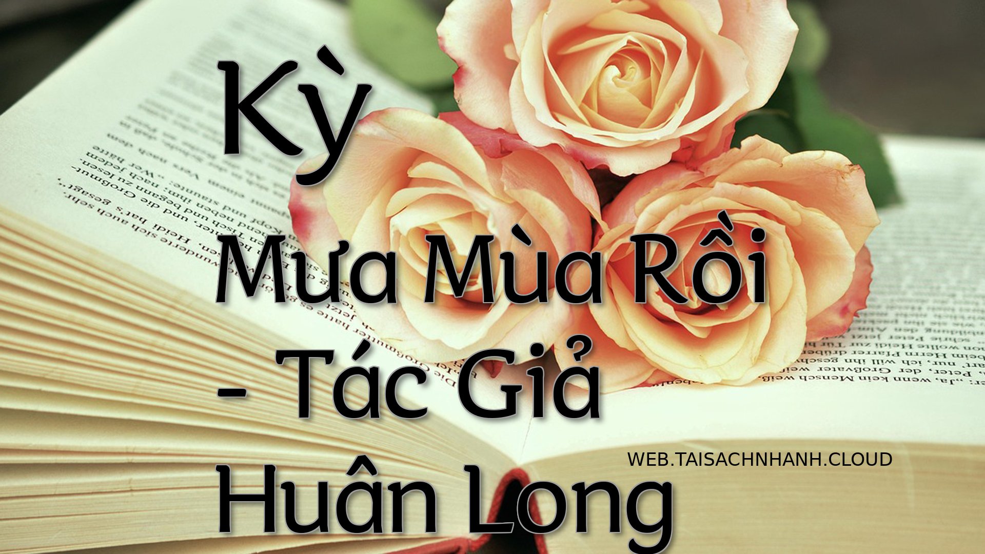 Cover Ky Mua Mua Roi.jpg