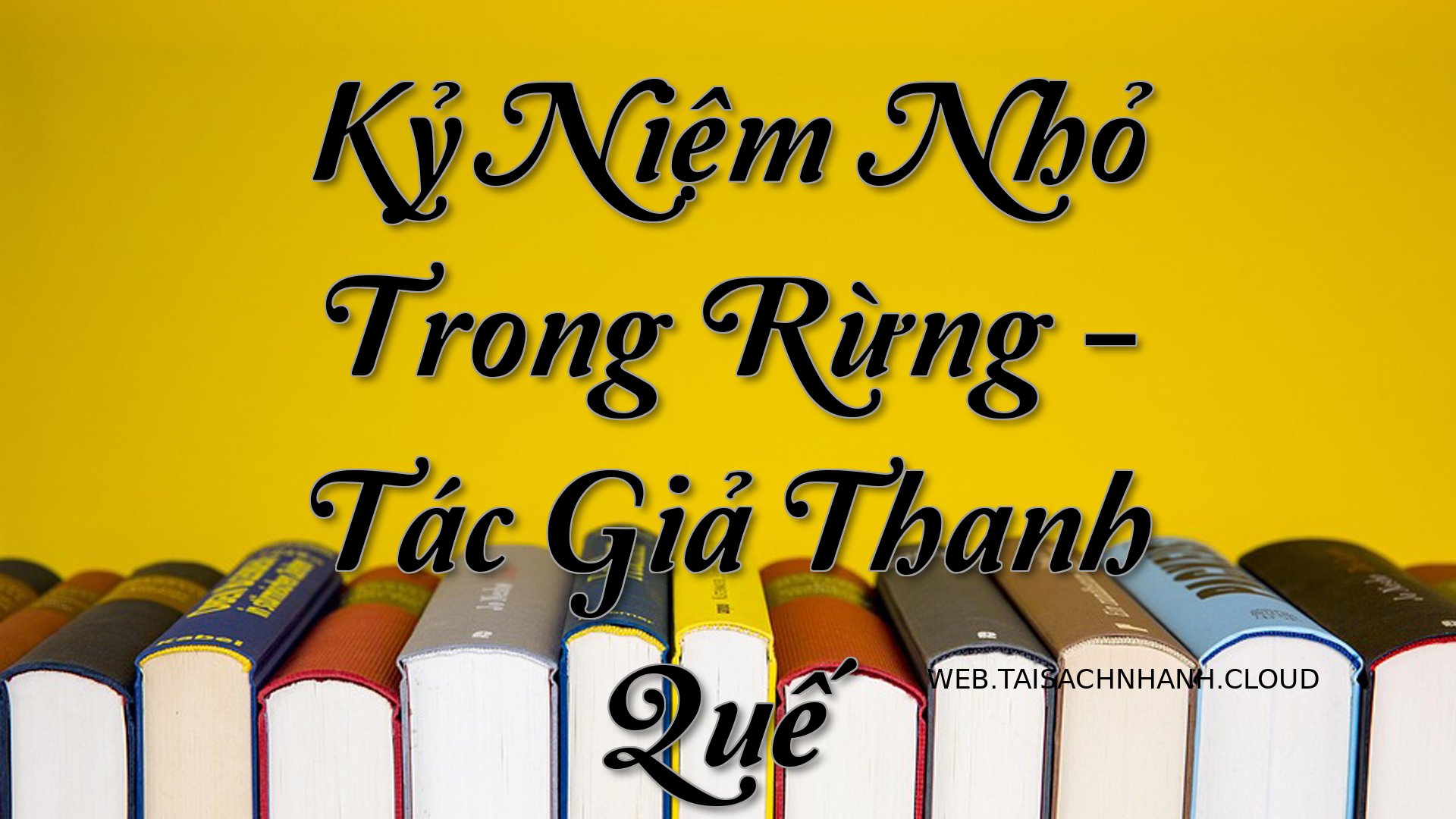 Cover Ky Niem Nho Trong Ru.jpg