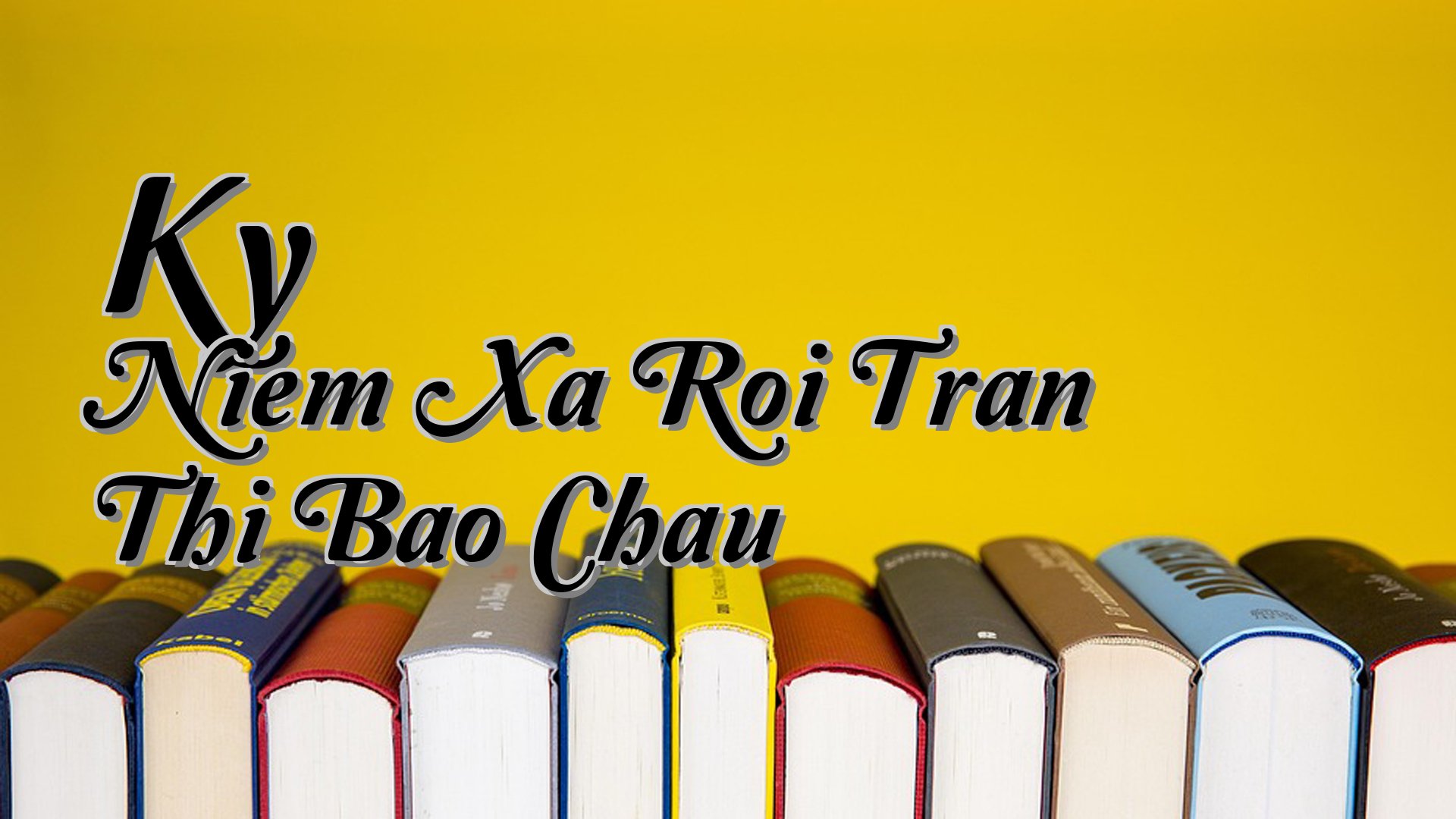 cover-Ky Niem Xa Roi Tran Thi Bao Chau