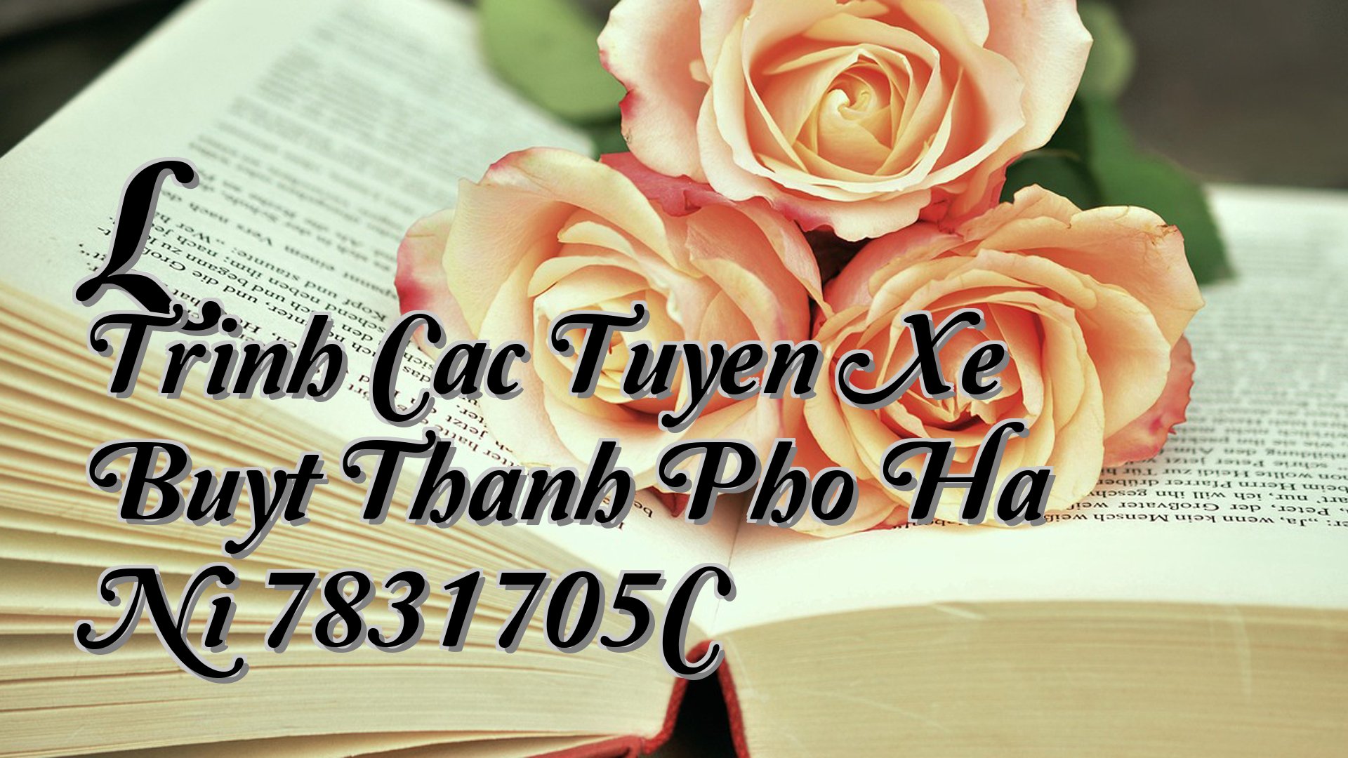 cover-L Trinh Cac Tuyen Xe Buyt Thanh Pho Ha Ni 7831705C